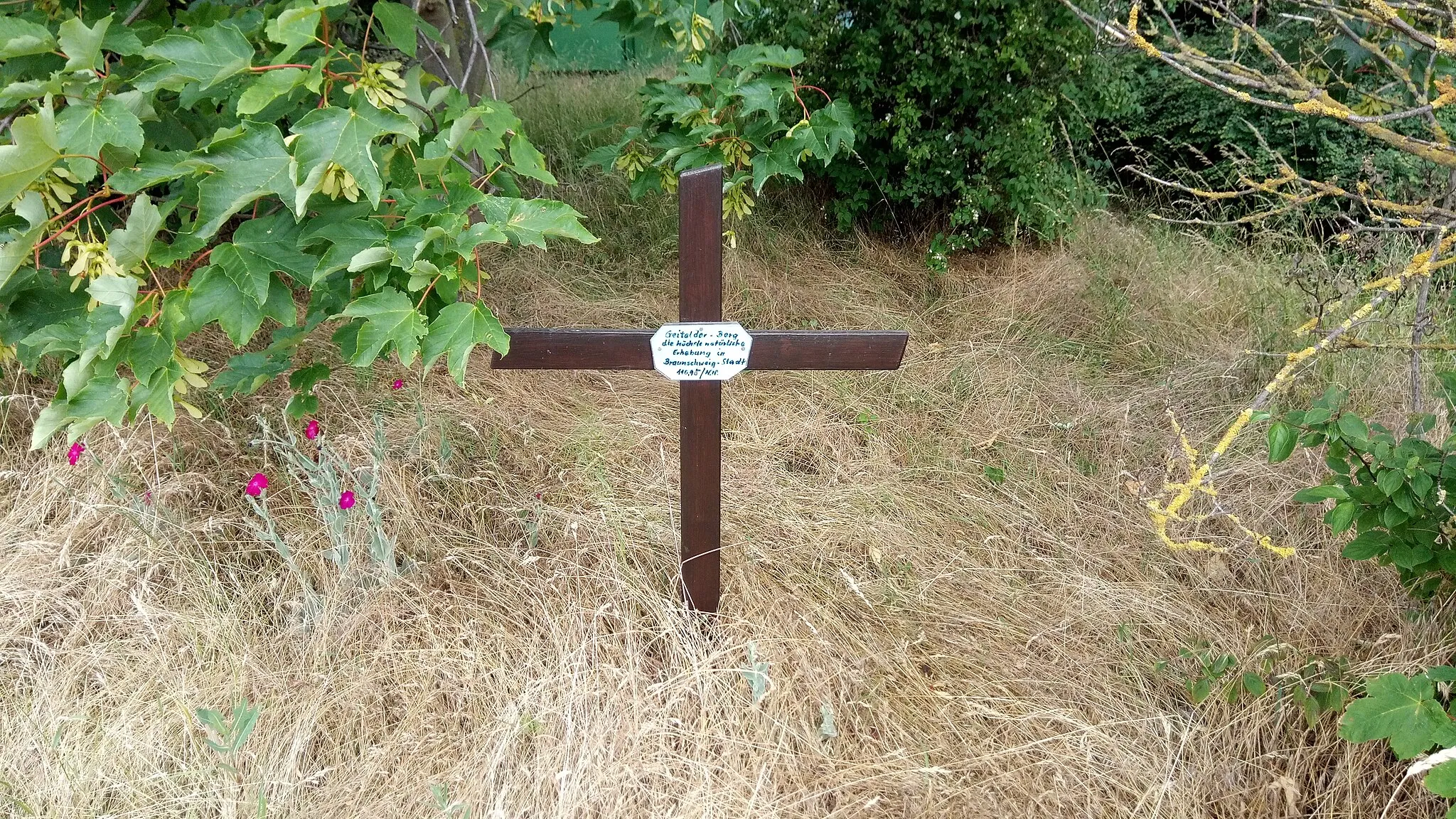 Photo showing: Summit cross at the Geitelder Berg, Braunschweig, Germany.
The cross is less than 1 meter in height, made from wood, and carries a hand-written sign made from laminated paper. The inscription is:

Geitelder-Berg
the highest natural
elevation in
Braunschweig-City
110.9 m / a.s.l.

The elevation varies in literature between 110.6 m and 111 m.