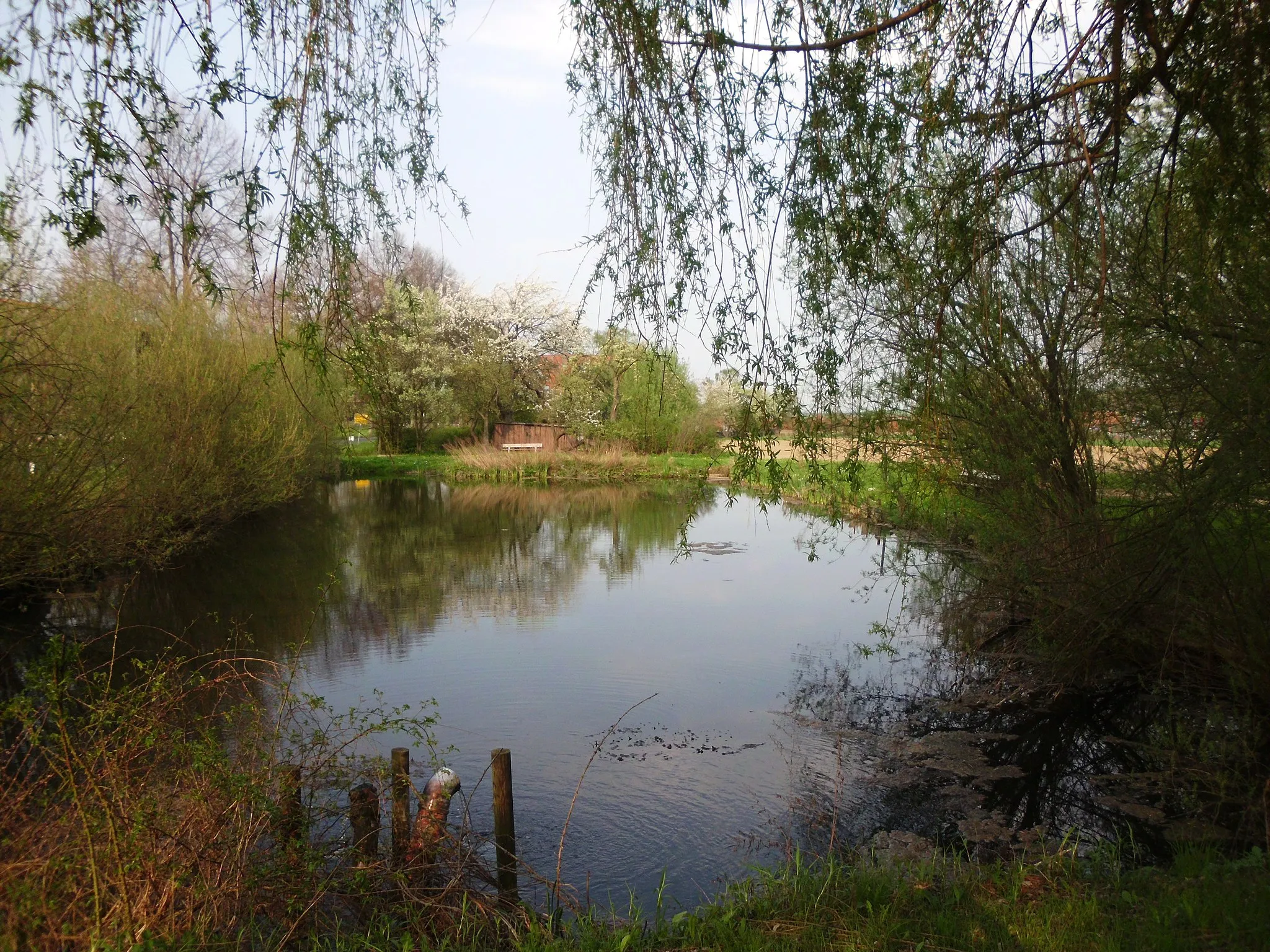 Photo showing: Teich am Ortsrand von Klein Döhren in der Gemeinde Liebenburg