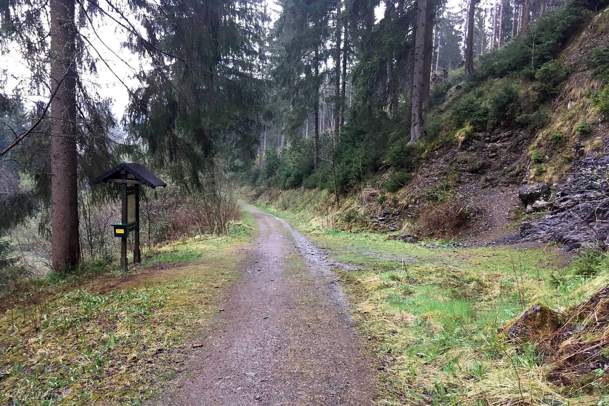 Photo showing: Das Kellwassertal an der Okertalsperre Vorsperre. Stempelstelle 202201 der Harzer Wandernadel vom 16. April 2022 bis 15. Juni 2022