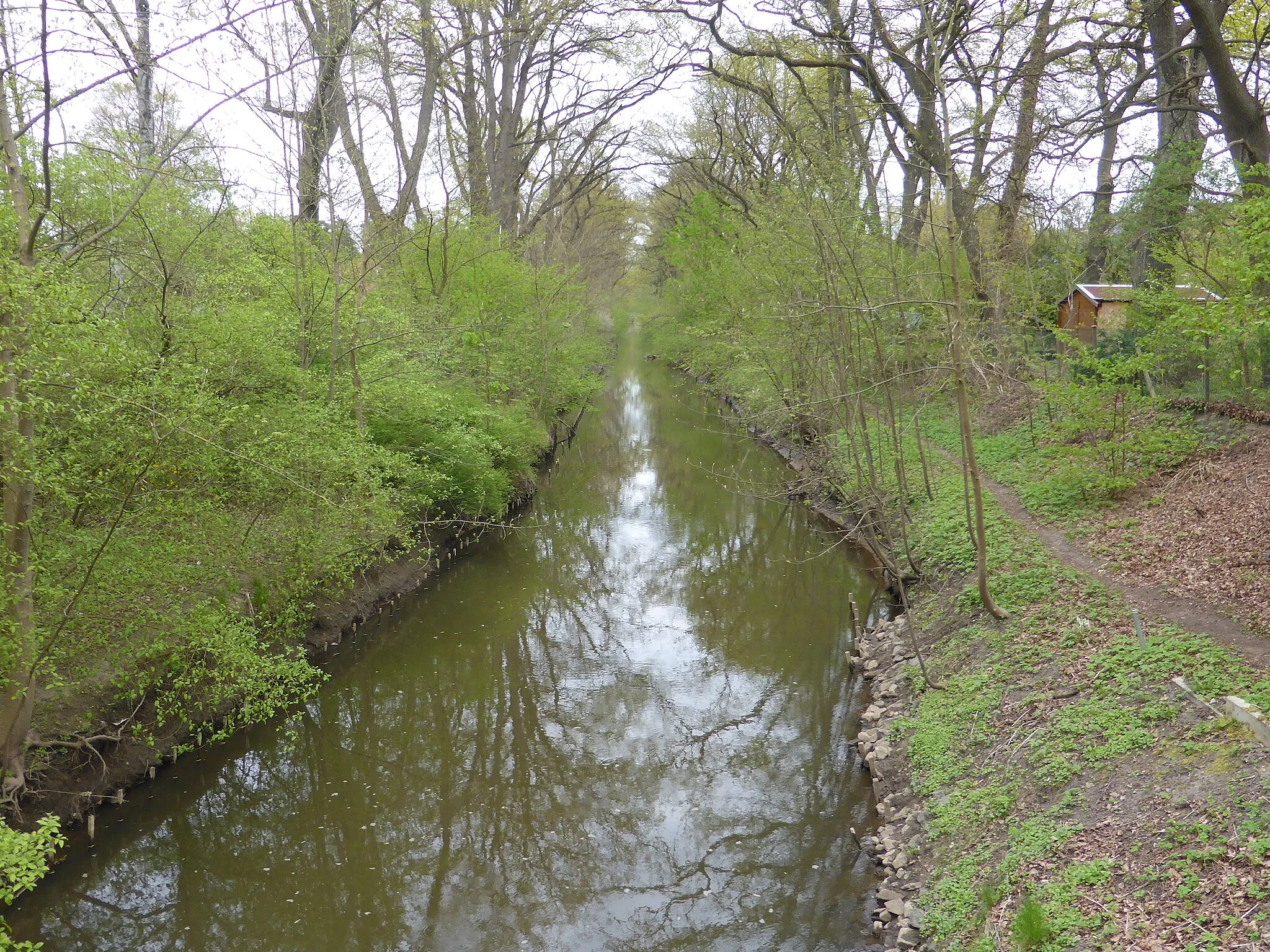 Photo showing: Allerkanal in Winkel bei Gifhorn.