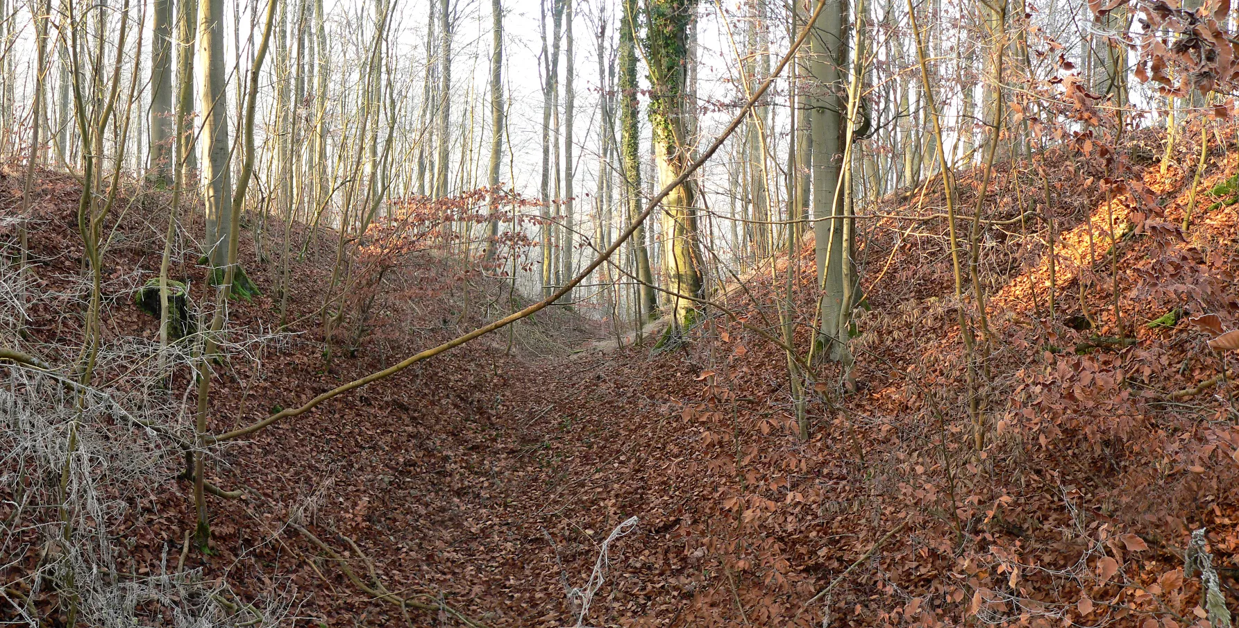 Photo showing: Hüburg, rechts der innere Wall, mittig der Graben