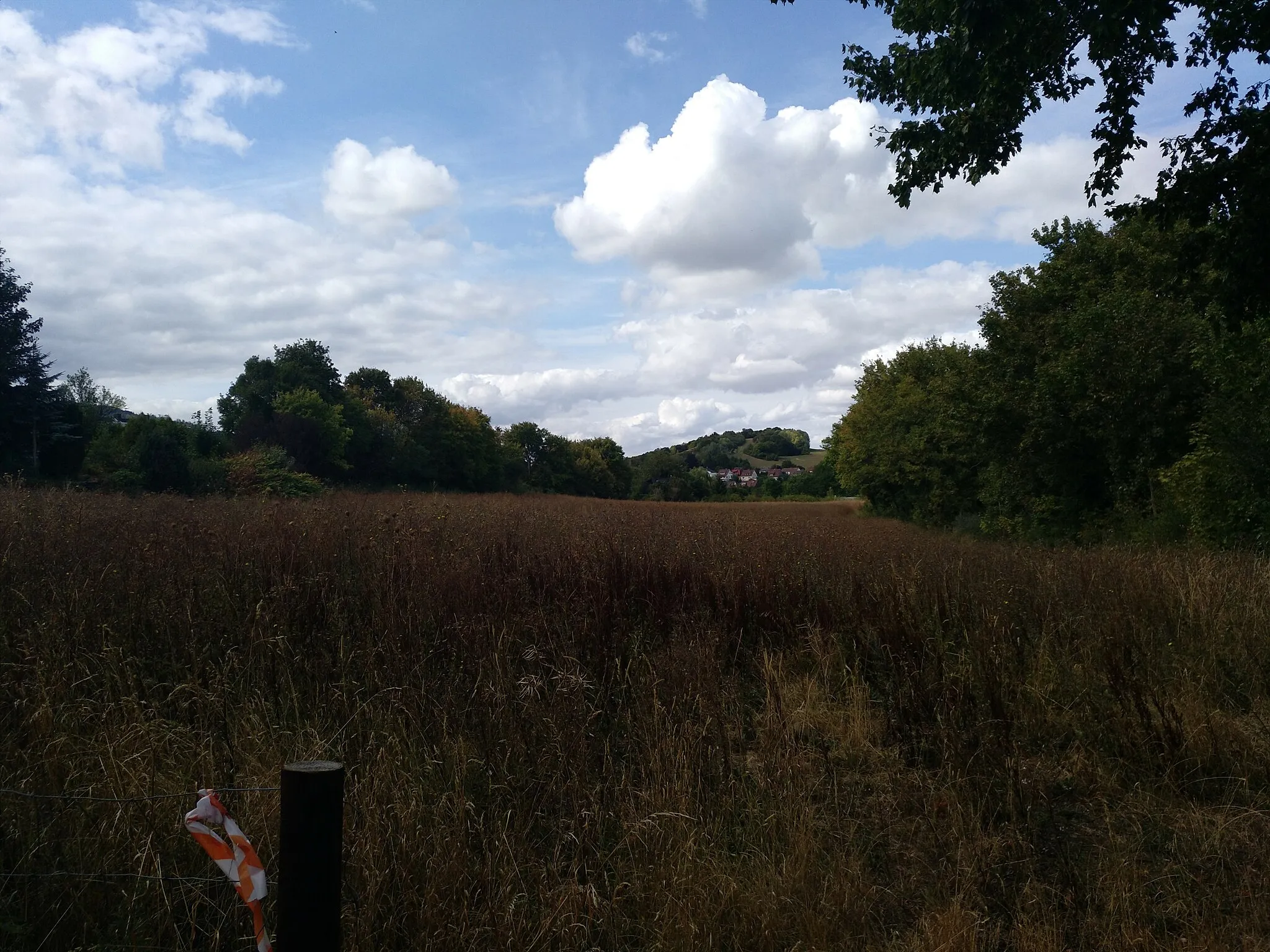 Photo showing: Scharenberg in Schlewecke, Westblick auf Langenberg