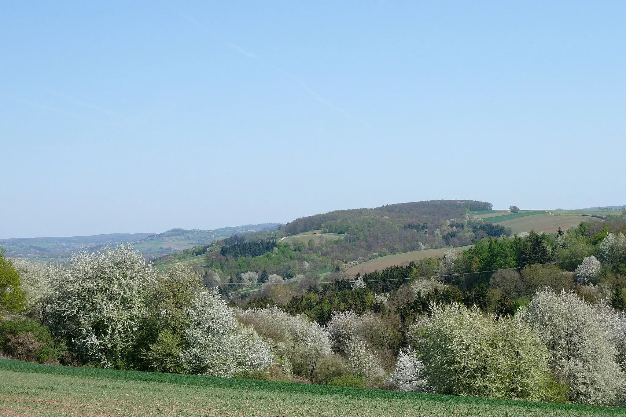 Photo showing: Blick vom Langenberg (Hellberge) bei Hilkerode nach Osten auf den Mühlenberg, Bornberg und Schmalenberg (im Hintergrund links der östl. Rotenberg)