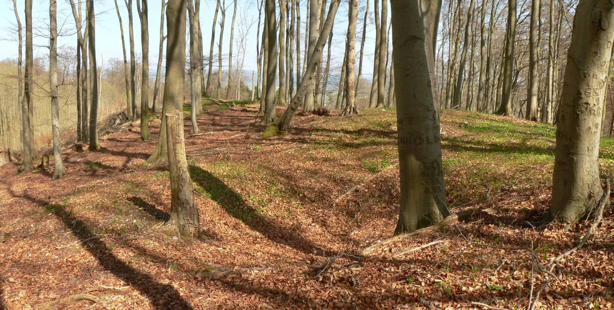 Photo showing: Bergkuppe des Bierbergs mit Plateau der Befestigungsanlage