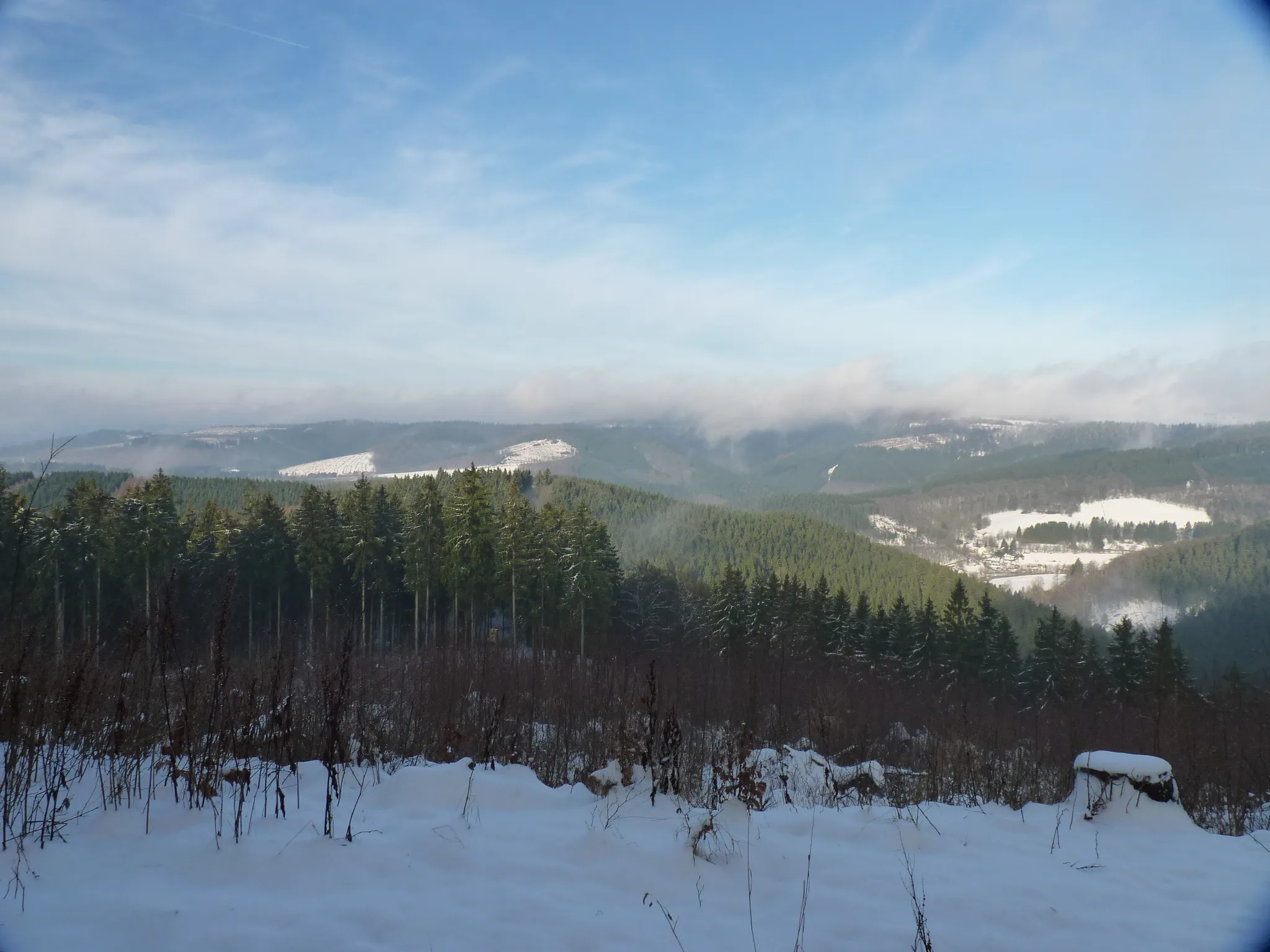 Photo showing: Ausblick von der Alten Burg in Richtung Kindelsberg