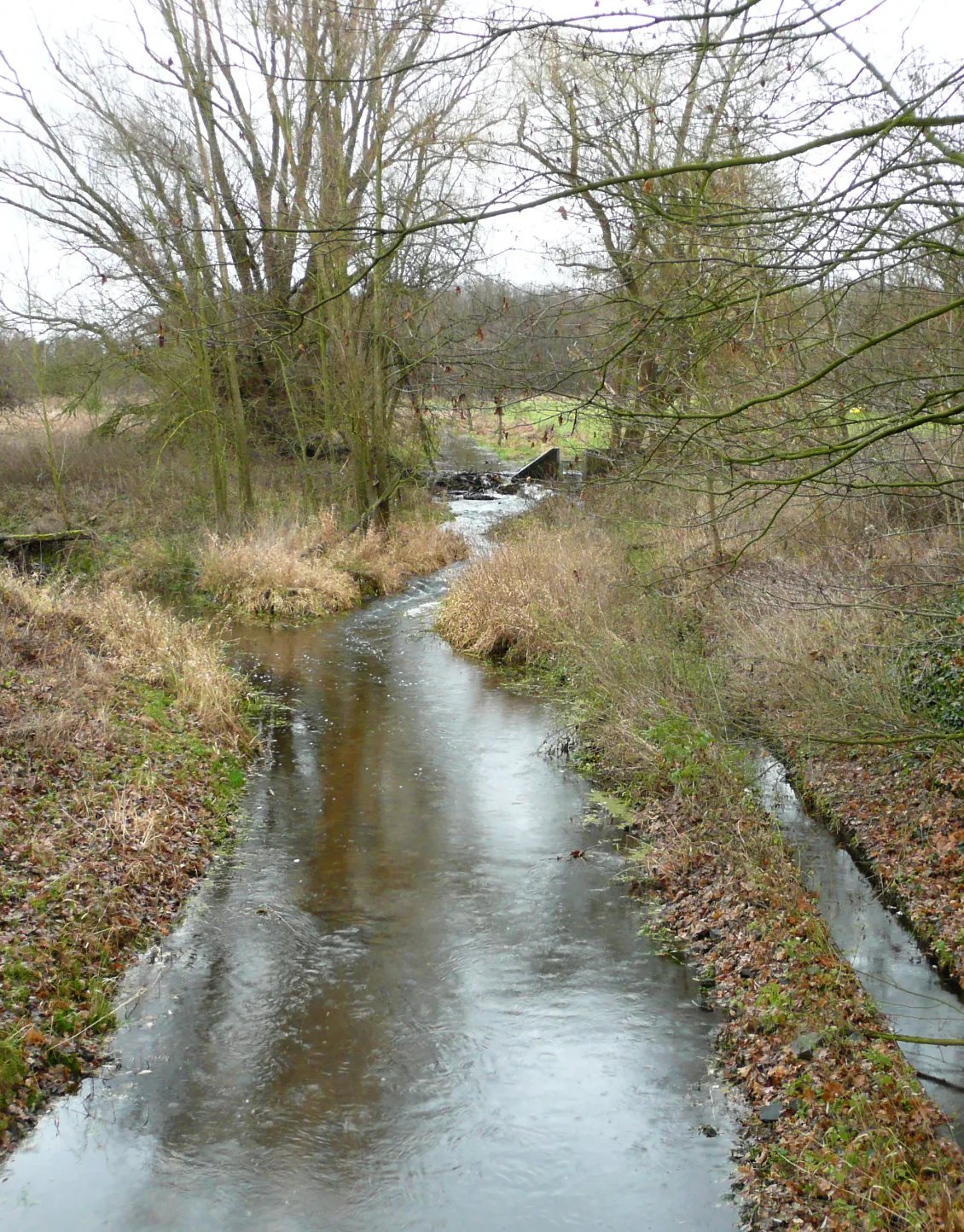 Photo showing: Kleine Aller an der Brackstedter Mühle