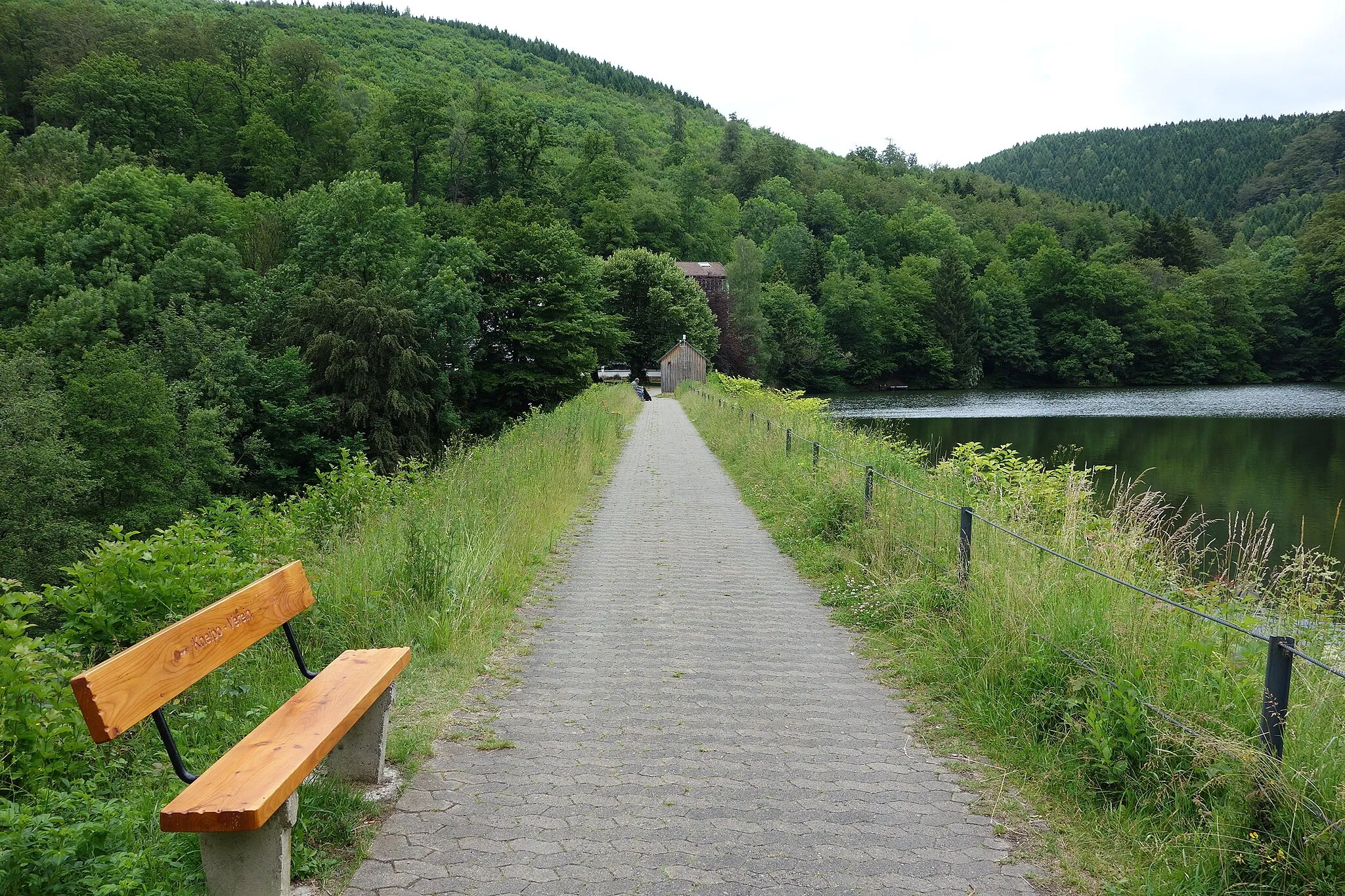 Photo showing: Wiesenbek dam on river Wiesenbek, Germany