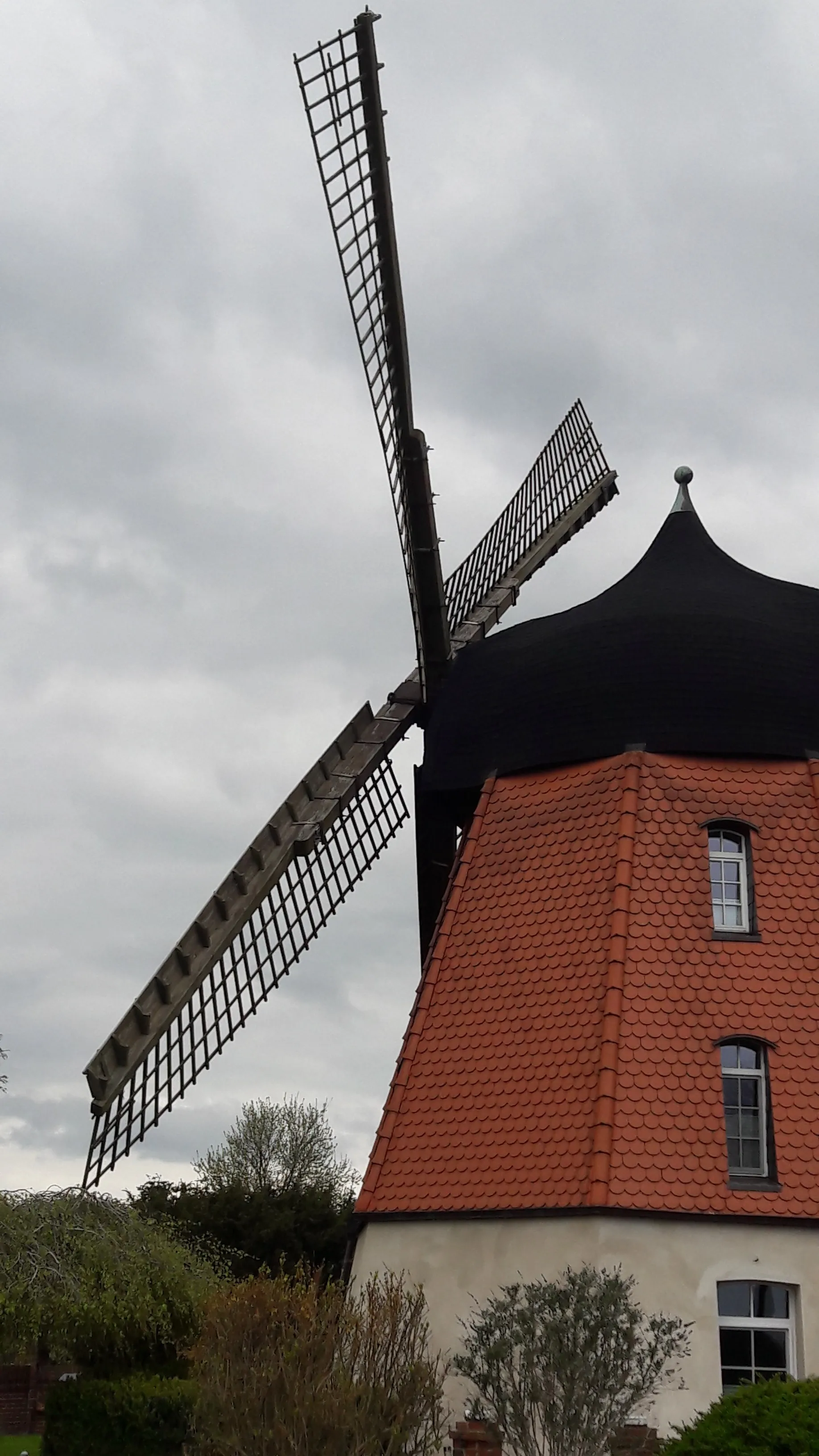 Photo showing: Windmühle Meine