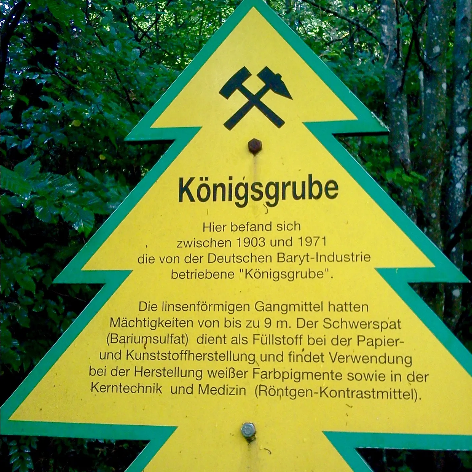 Photo showing: Dennert-Tanne: Königsgrube