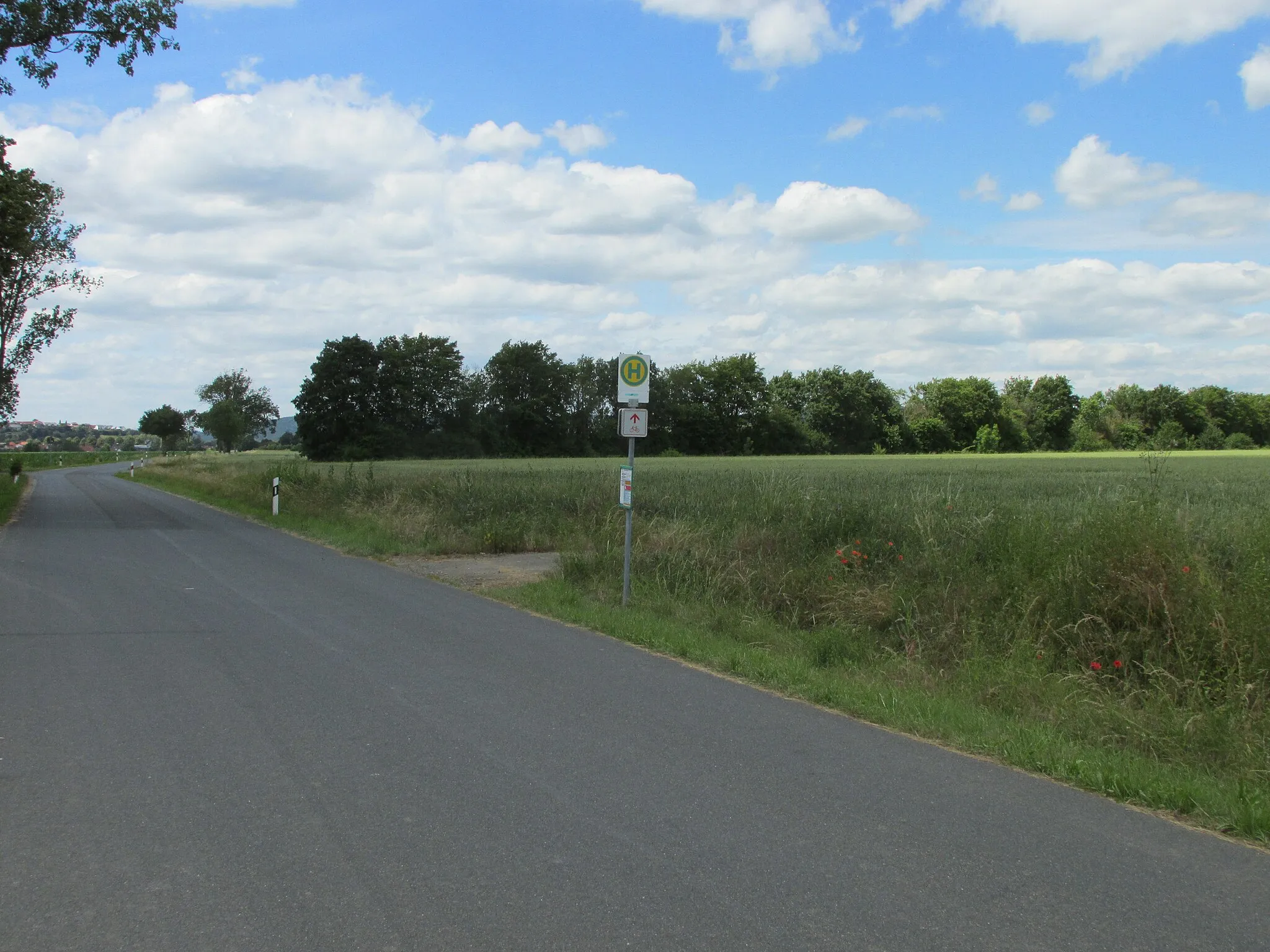 Photo showing: die Bushaltestelle Domäne am Albrechtshäuser Weg bei der Domäne Albrechtshausen, hier steht nur ein Haltestellenmast, aber der Aushangfahrplan zeigt die Abfahrten beider Richtungen