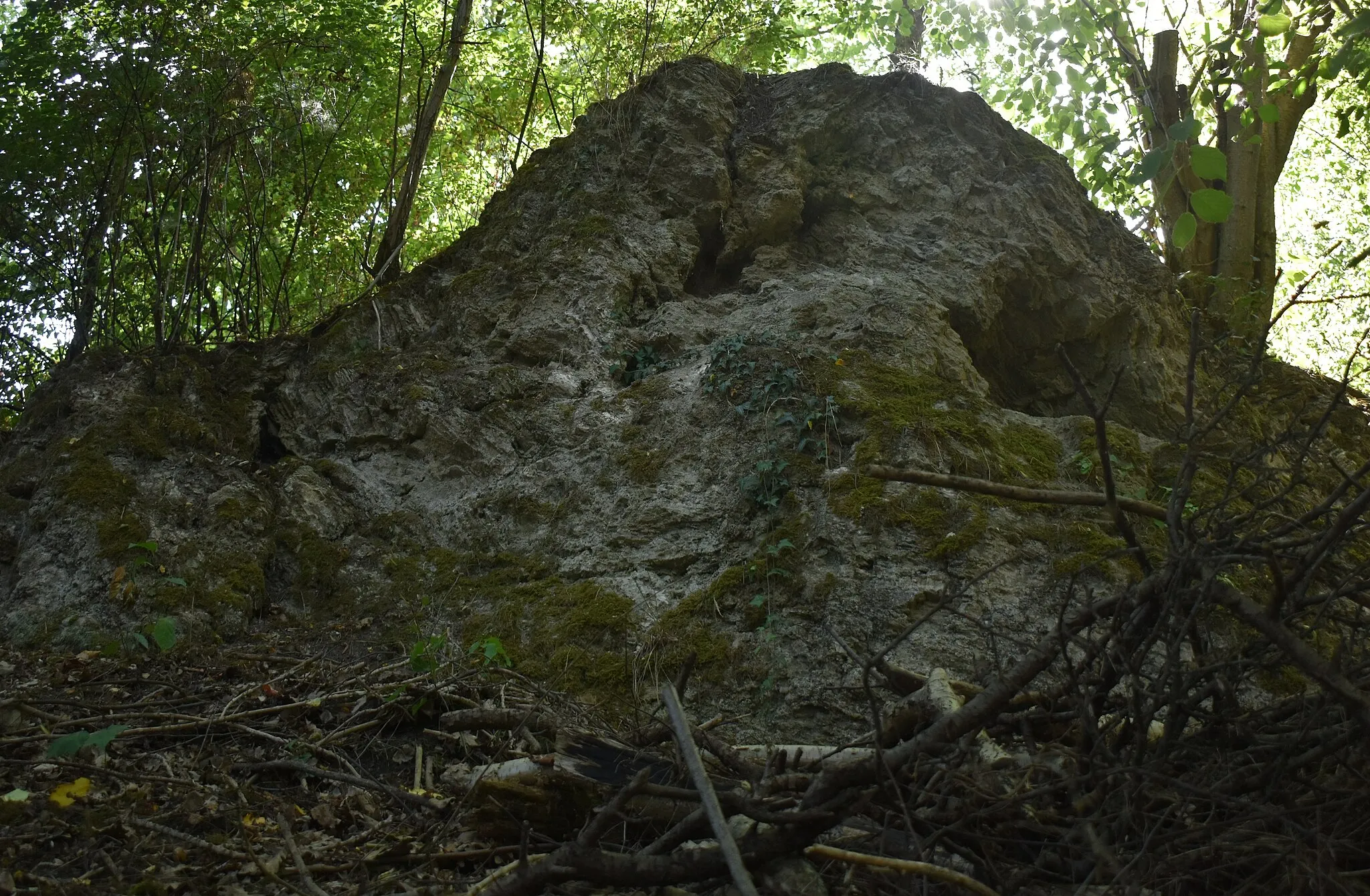 Photo showing: Fels unterhalb des Sängerplatzes bei Dorste, gehört zum Geotop 4226/03 "Gipssteinklippe im Oberen Buntsandstein".