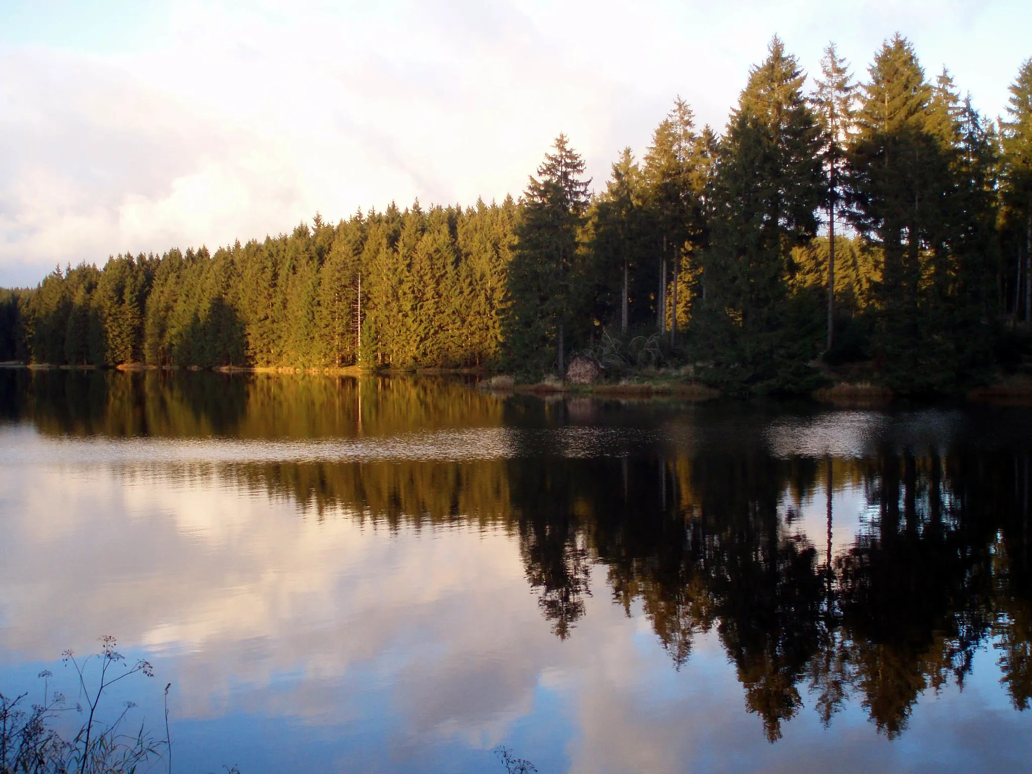 Photo showing: Bärenbrucher Teich