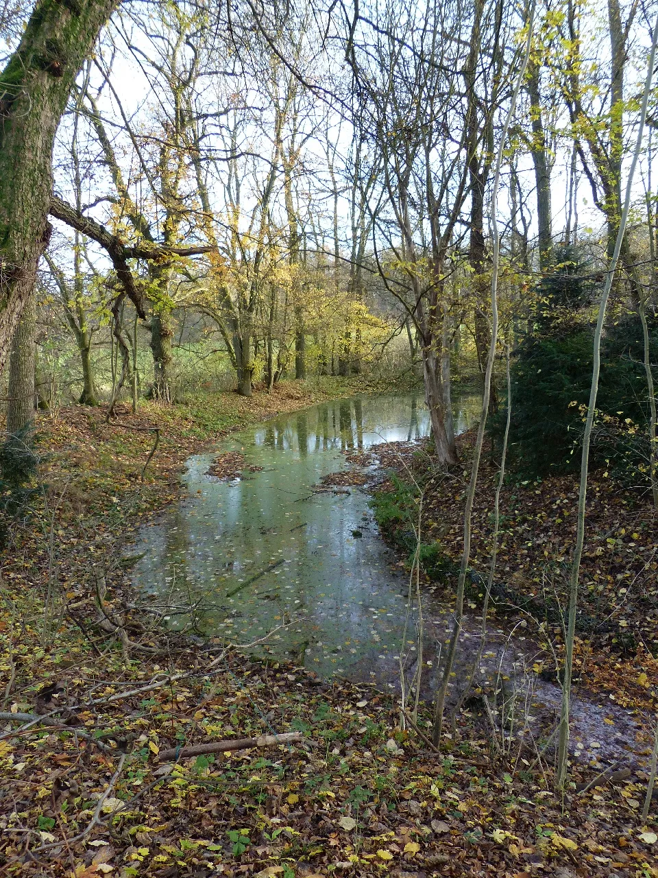 Photo showing: Der nördliche Teil des Burggrabens, Blickrichtung Südosten.