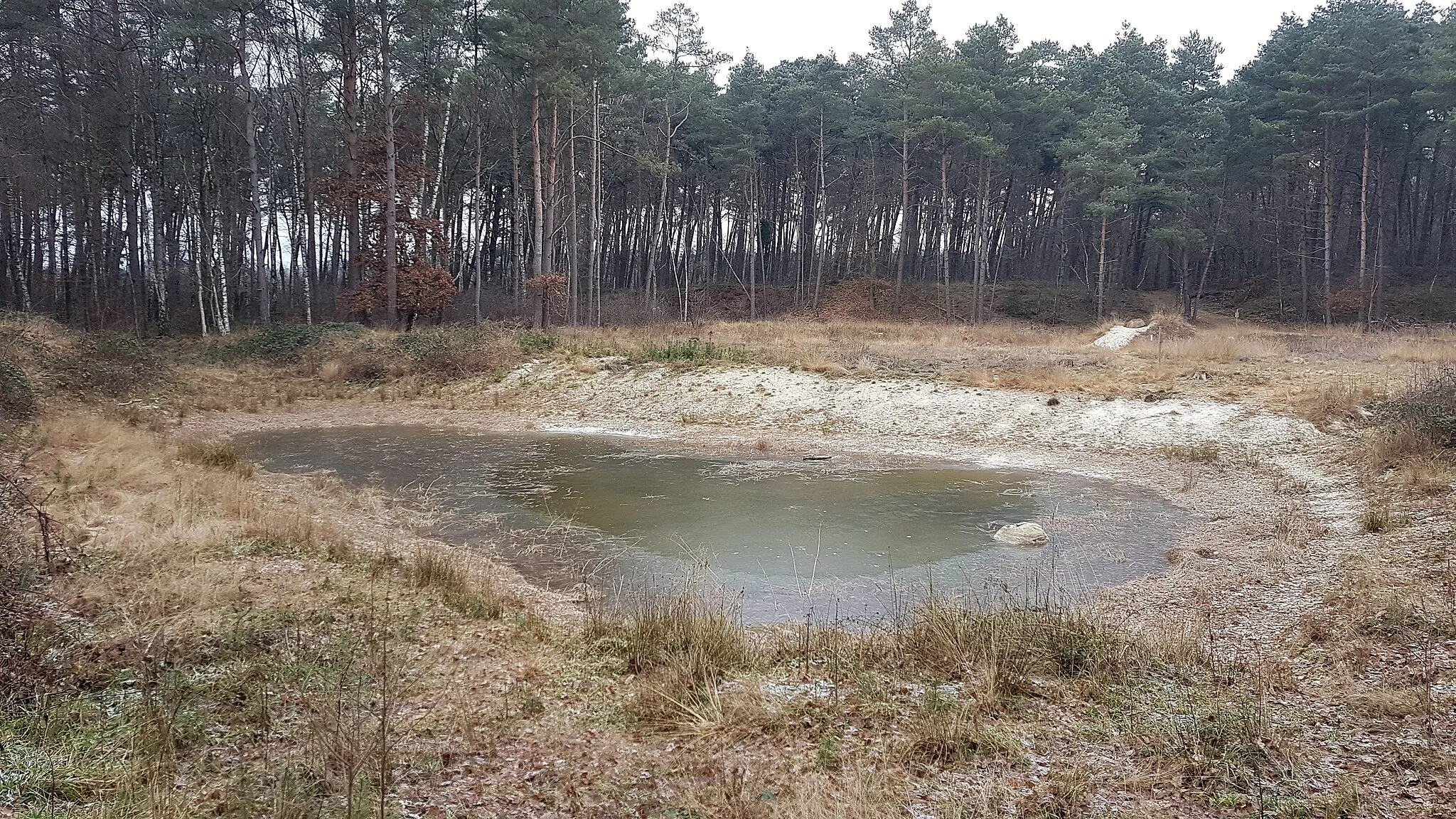 Photo showing: Naturdenkmal Sandgrube Bookholt in Munderloh, Gemeinde Hatten