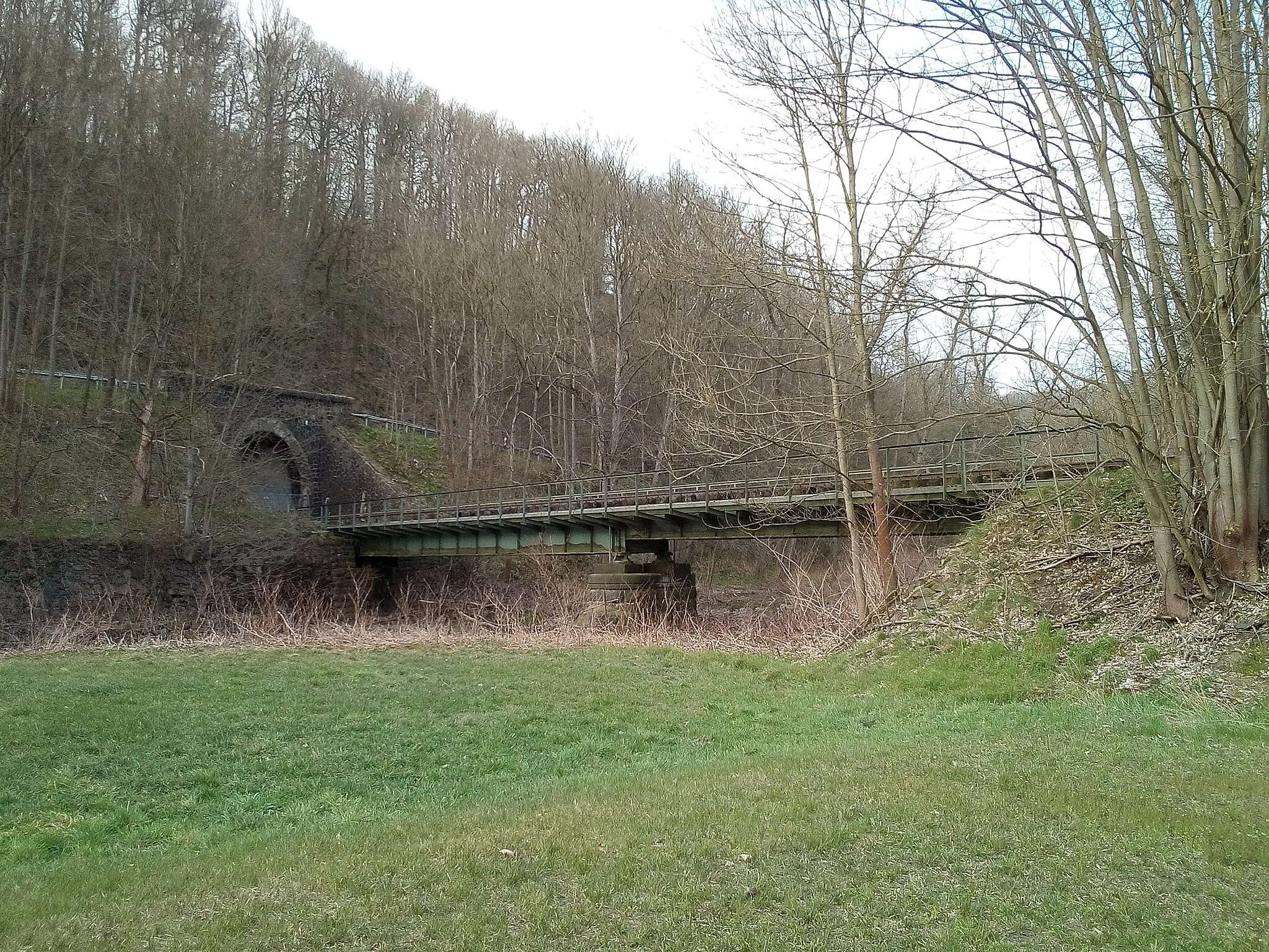 Photo showing: Chemnitzbrücke beim Tunnel Mohsdorf (Diethensdorfer Seite) (2020)