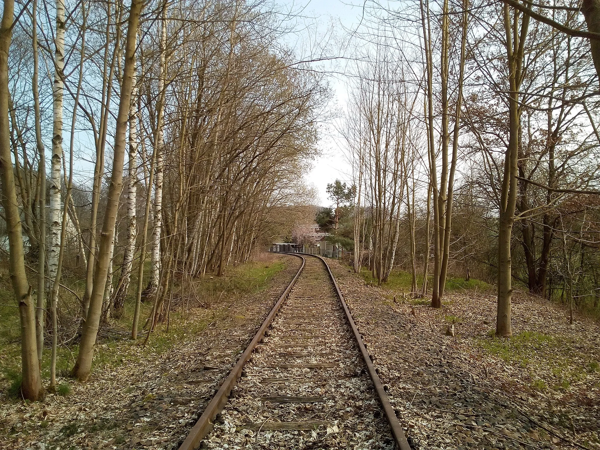 Photo showing: Chemnitztalbahn zwischen Tunnel Mohsdorf und Hp. Schweizerthal-Diethensdorf (2020)