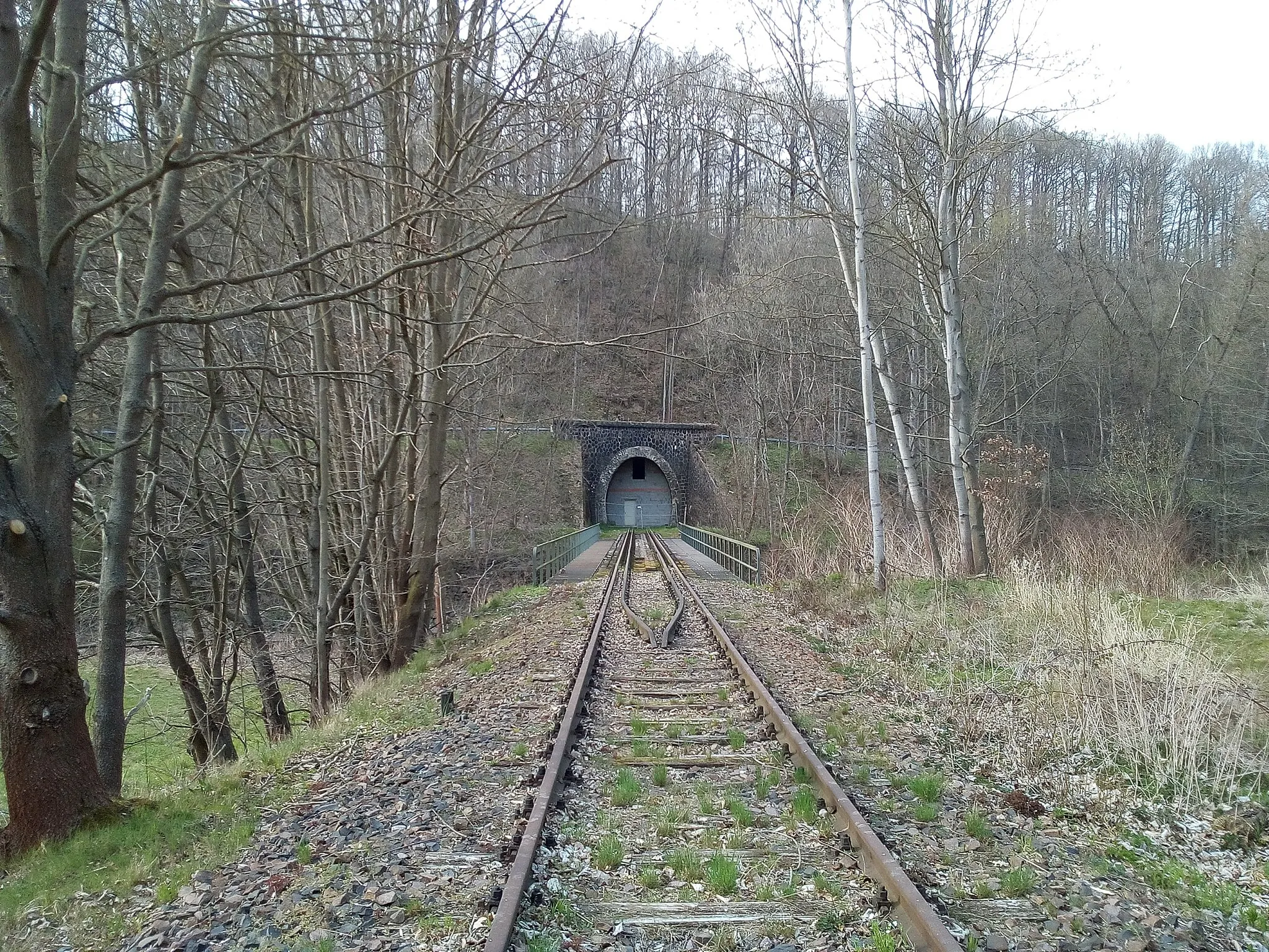 Photo showing: Mohsdorfer Tunnel, Portal auf Diethensdorfer Seite (2020)