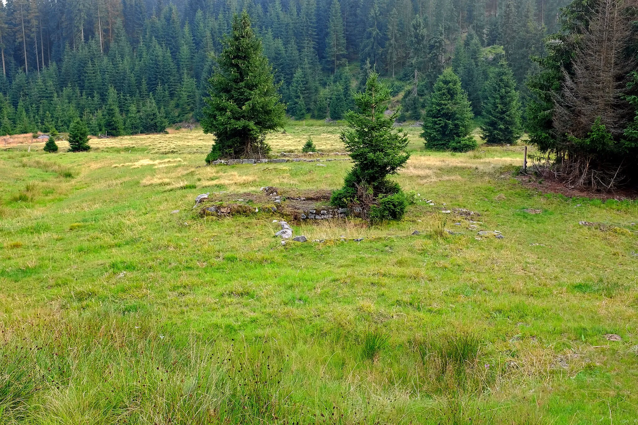 Photo showing: Rolava, zaniklá obec v Krušných horách, pozůstatky stavení, okres Sokolov