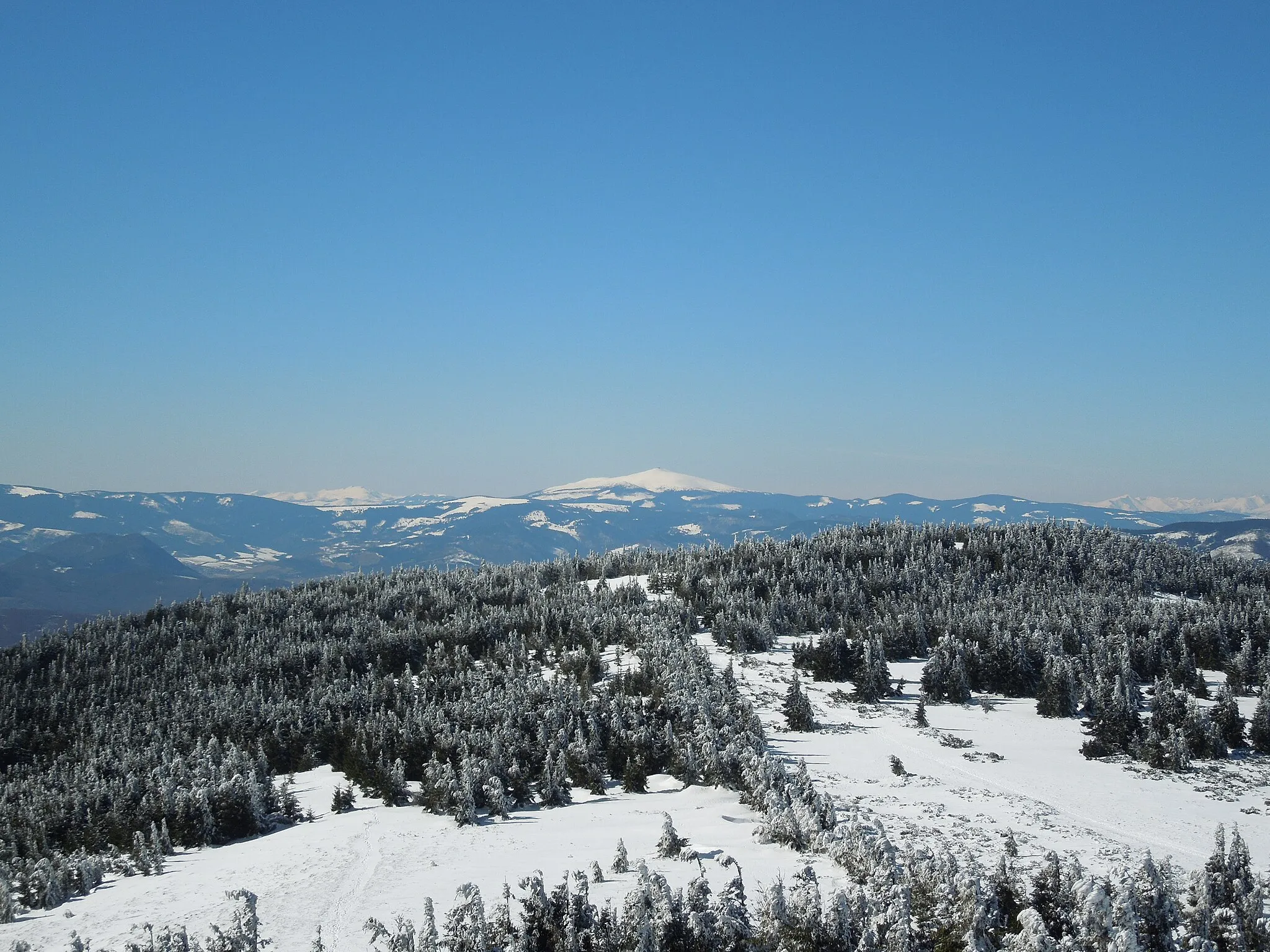 Photo showing: Pohľad na Kráľovu hoľu zo Skaliska