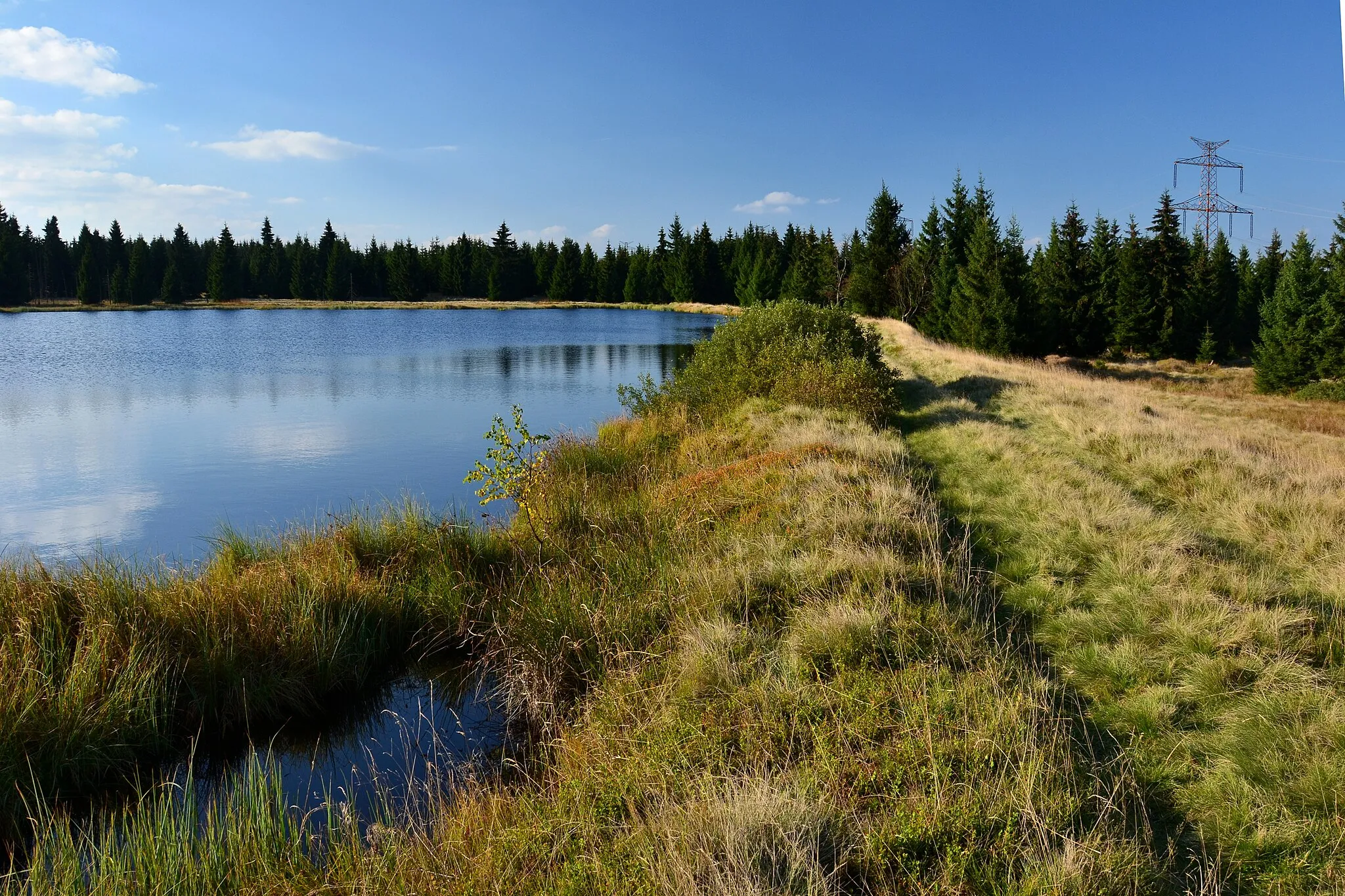 Photo showing: Hráz Novoveského rybníka