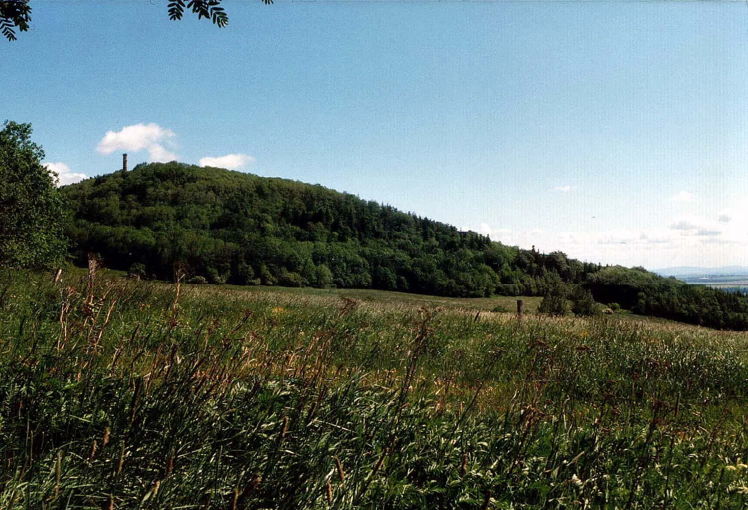 Photo showing: Geisingberg
im Sommer 1995