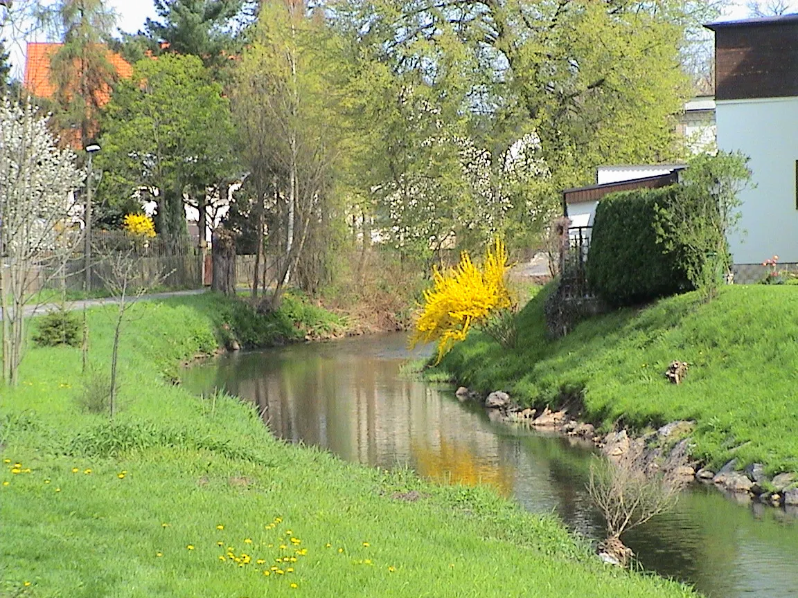 Photo showing: Spring on the river "Pleiße" in "Langenhessen"