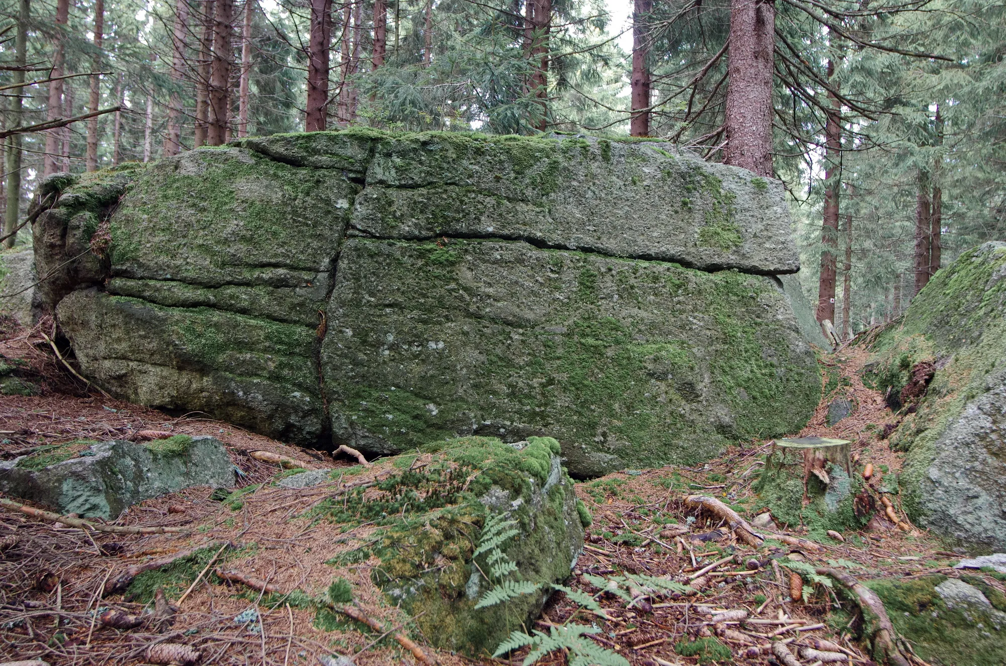 Photo showing: Dračí skála (953 m), jižně od Perninku, ukázka kvádrovité odlučnosti žuly, Krušné hory, okres Karlovy Vary