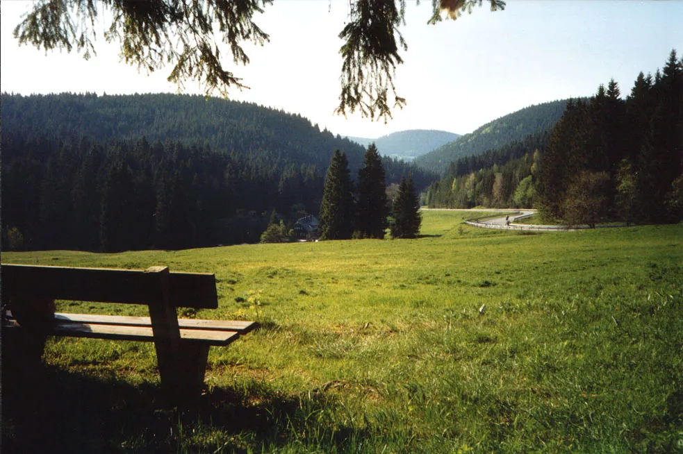 Photo showing: Motiv aus dem Erzgebirge bei Oberwildenthal