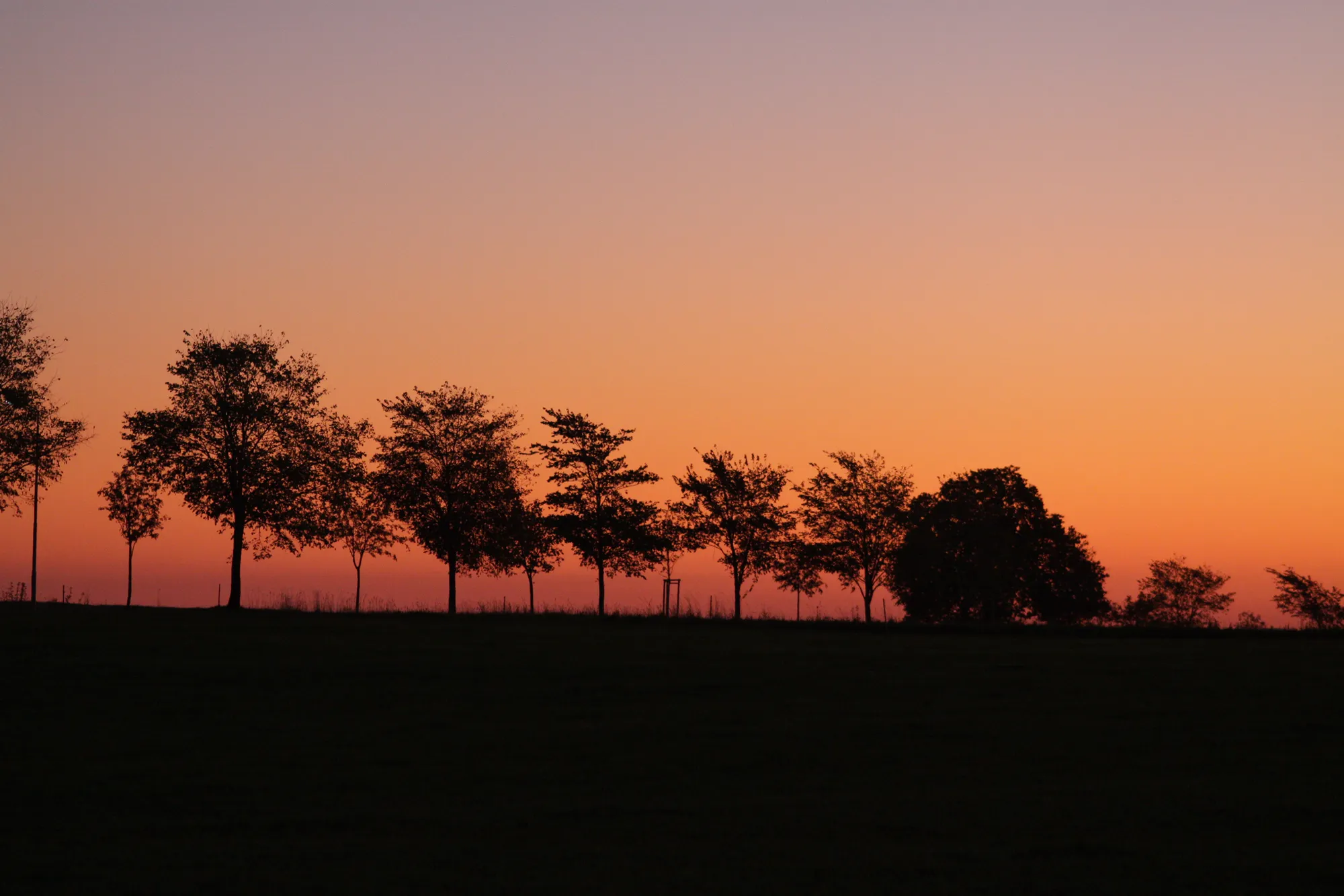 Photo showing: Lichtenau Sonnenaufgang 02-10-2011