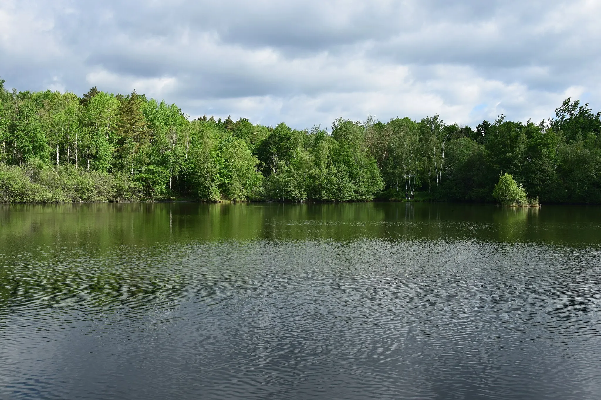 Photo showing: Černovice – hliník (též rybník Dřevák) na jihovýchodní straně černovického sila