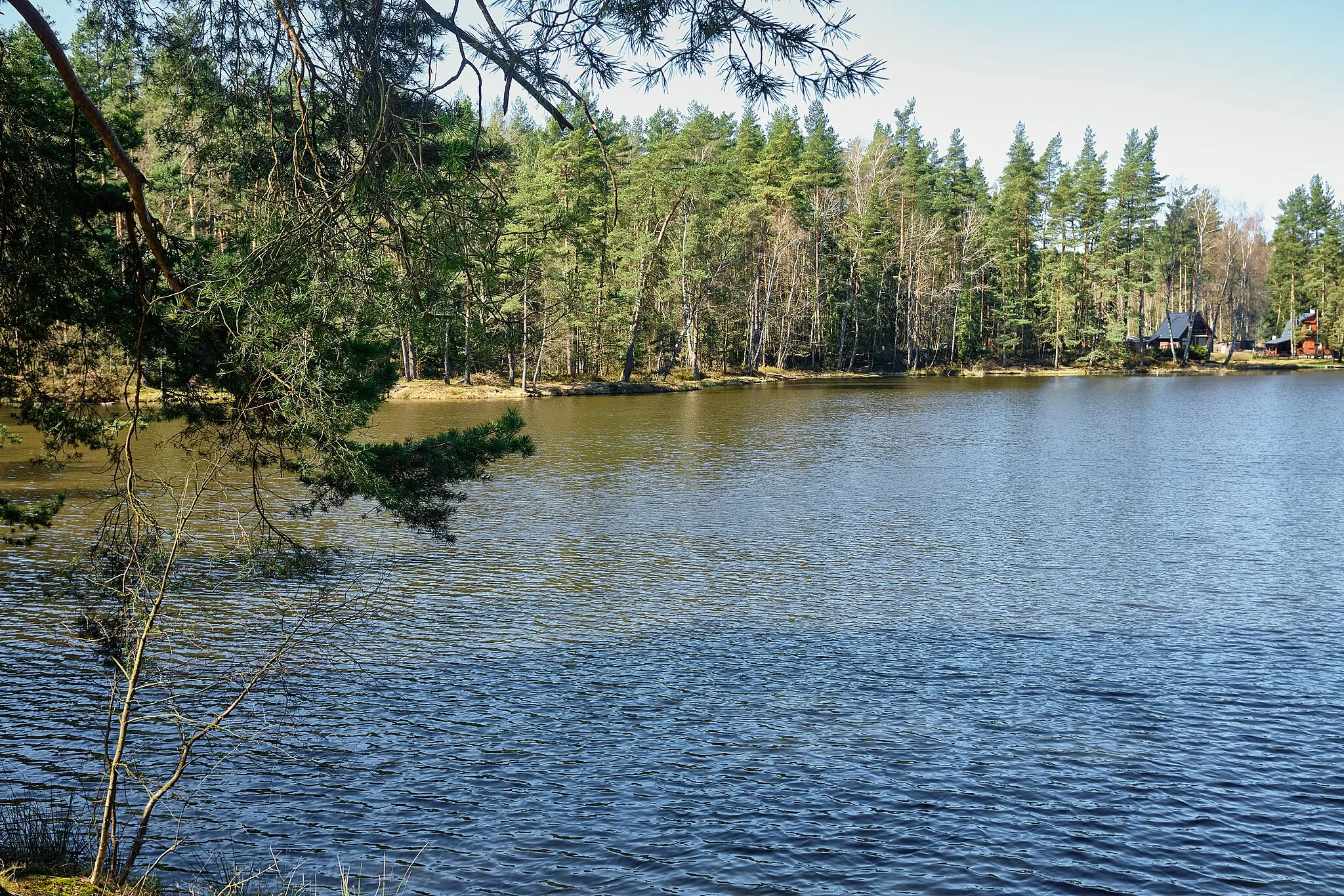 Photo showing: Velký Luh, rybník Cézar, okres Cheb