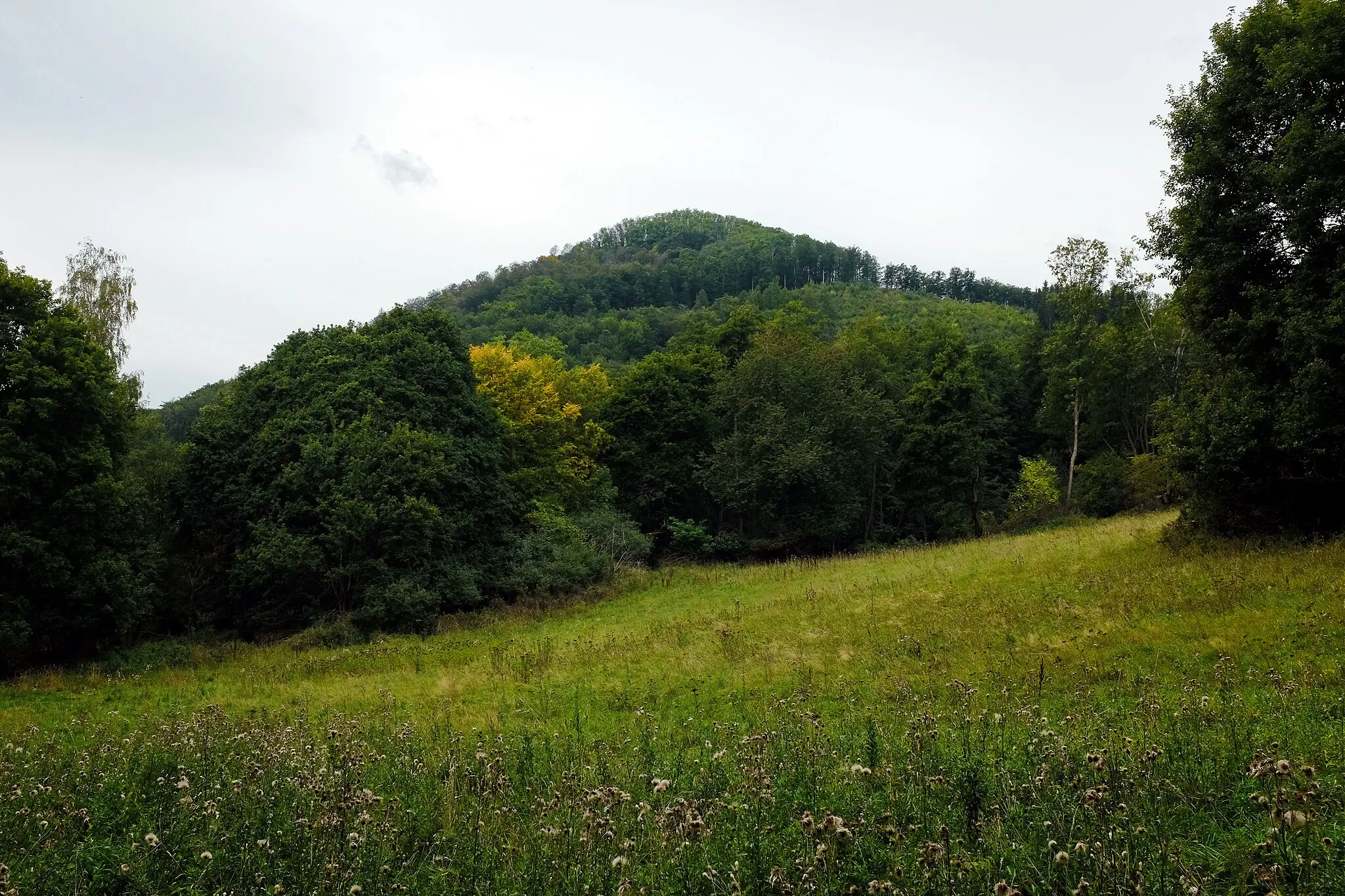 Photo showing: Doupovské hory, vrch Nebesa nad Stráží nad Ohří, okres Karlovy Vary