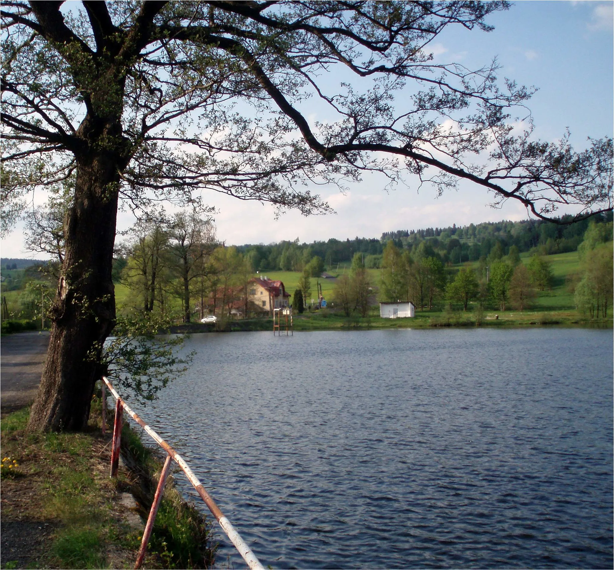 Photo showing: Rybník Tajch v Šindelové, okres Sokolov