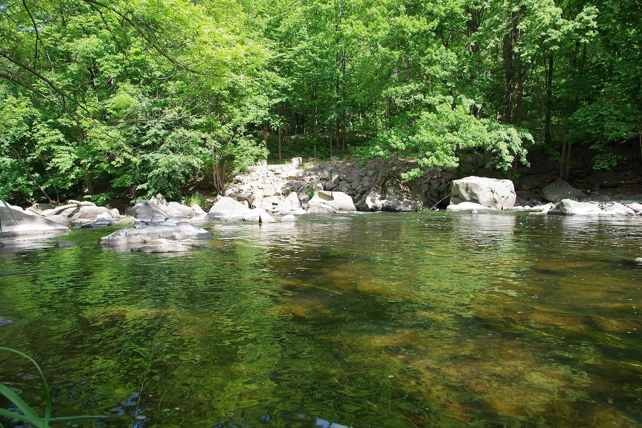 Photo showing: Fluss Chemnitz im Schweizerthal