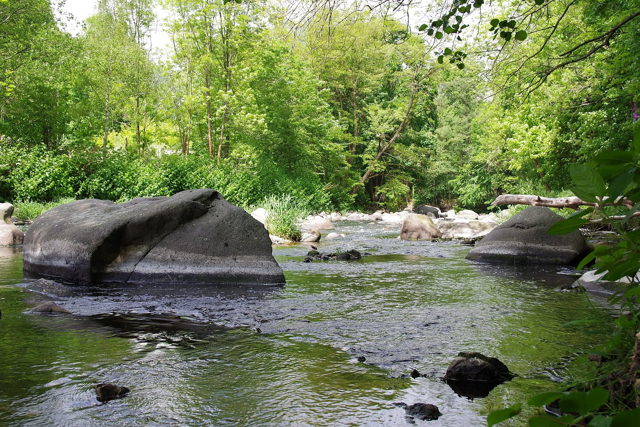 Photo showing: Fluss Chemnitz im Schweizerthal