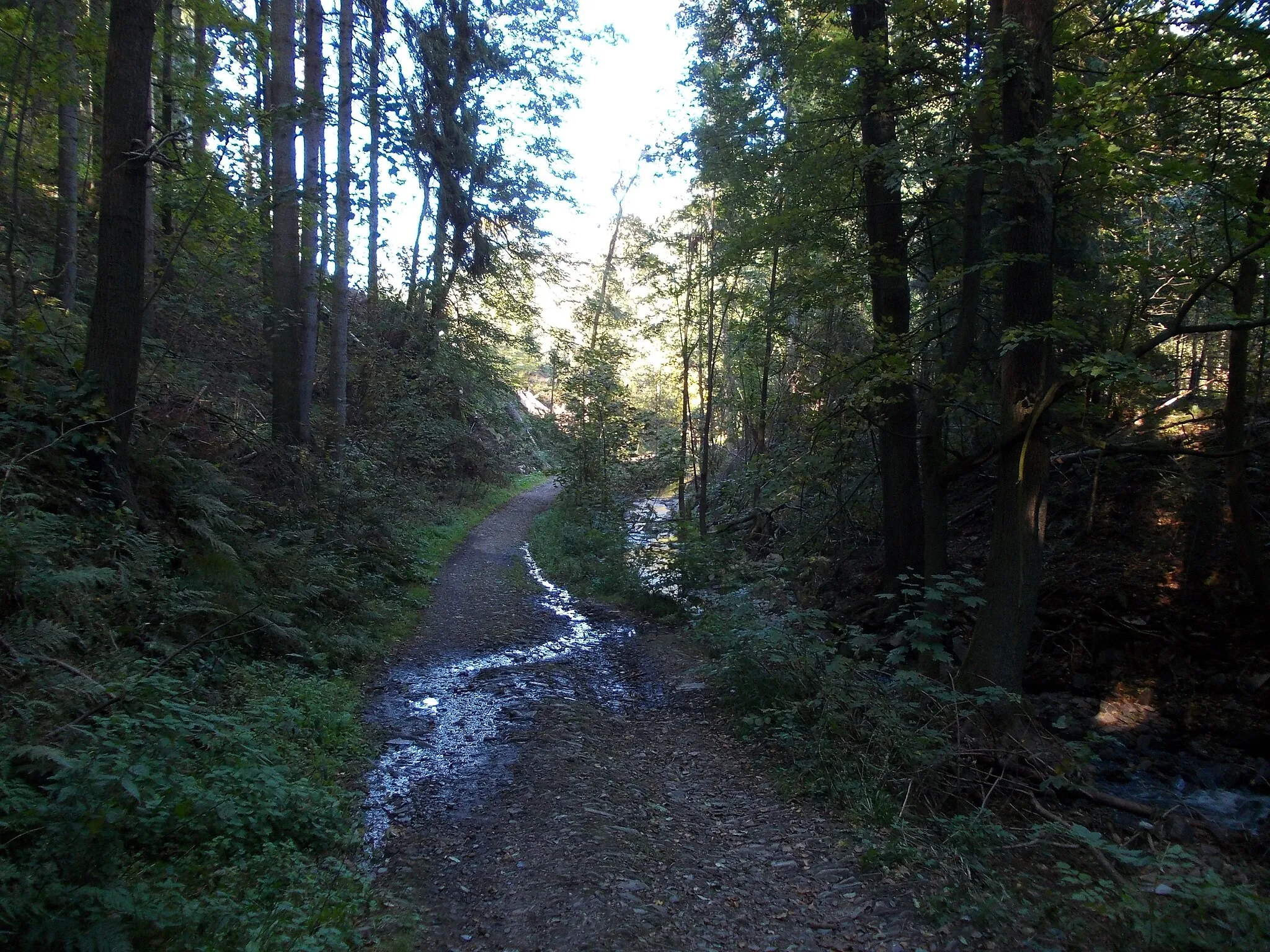 Photo showing: Valley of the Höllbach (or Johannesbach) stream near Chursdorf (Penig, Mittelsachsen district, Saxony)