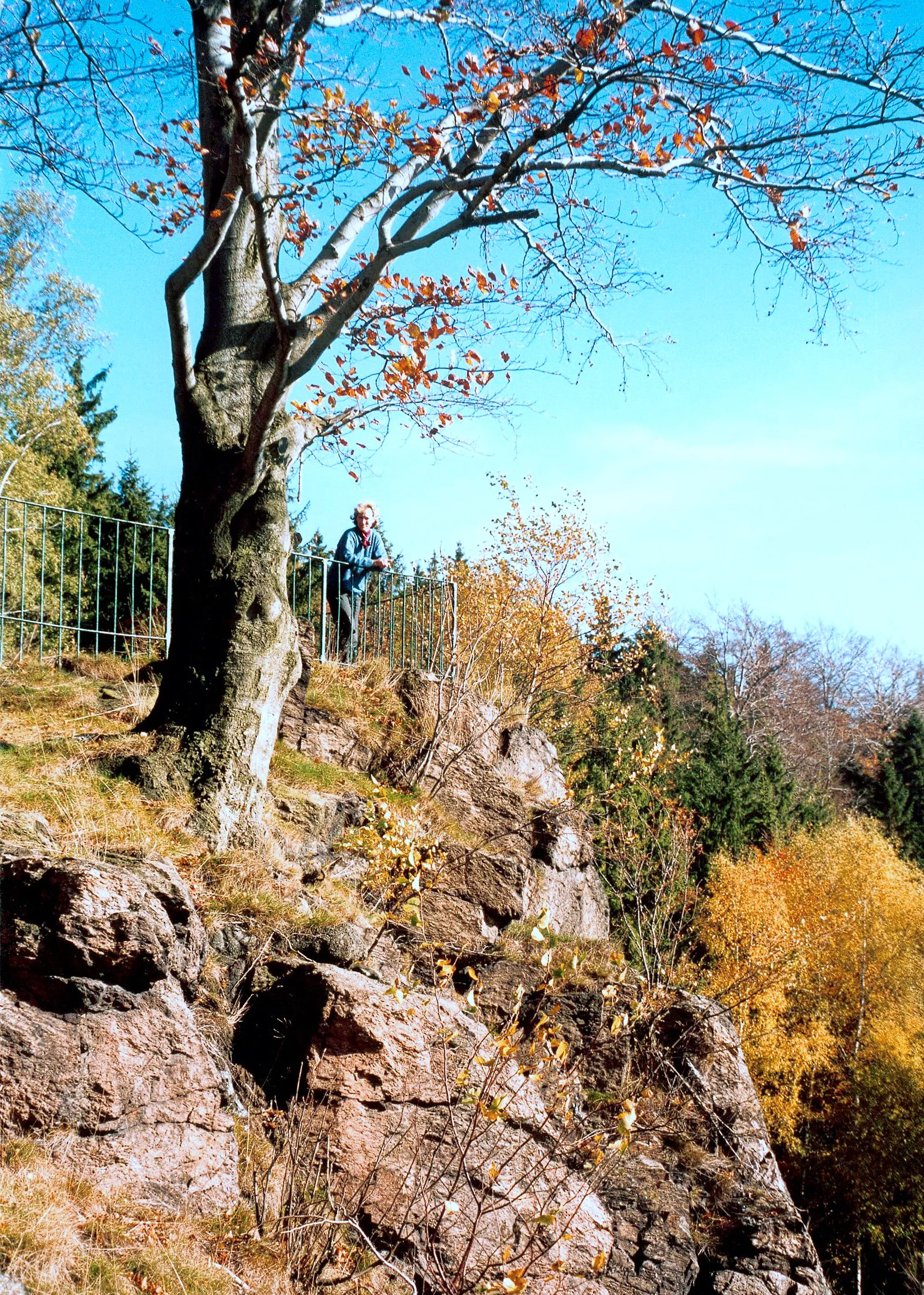 Photo showing: 22.10.2000  Rothenthal (Olbernhau): Aussichtspunkt auf dem Stößerfelsen (GMP: 50.621737,13.360270) über dem Natzschungtal an der Grenze zwischen Deutschland 
und Tschechien.                                   [F20001022A0010.jpg]20001022301NR.JPG(c)Blobelt