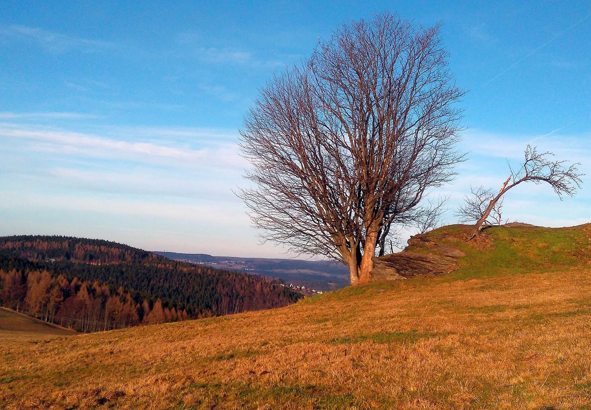 Photo showing: Am Riedelfelsen mit Blick nach Antonshöhe