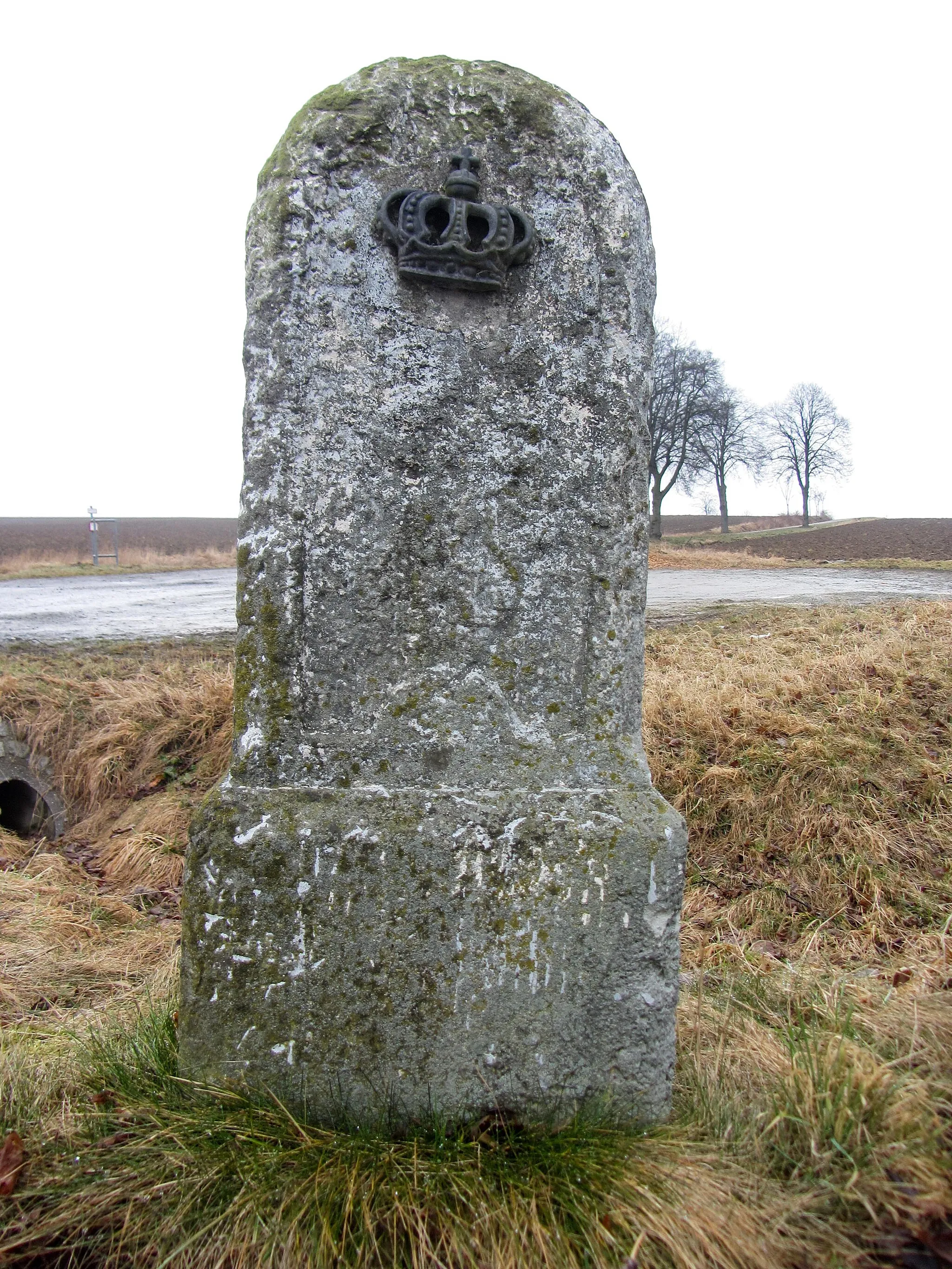 Photo showing: Königlich sächsischer Meilenstein (Abzweigstein) bei Thoßfell