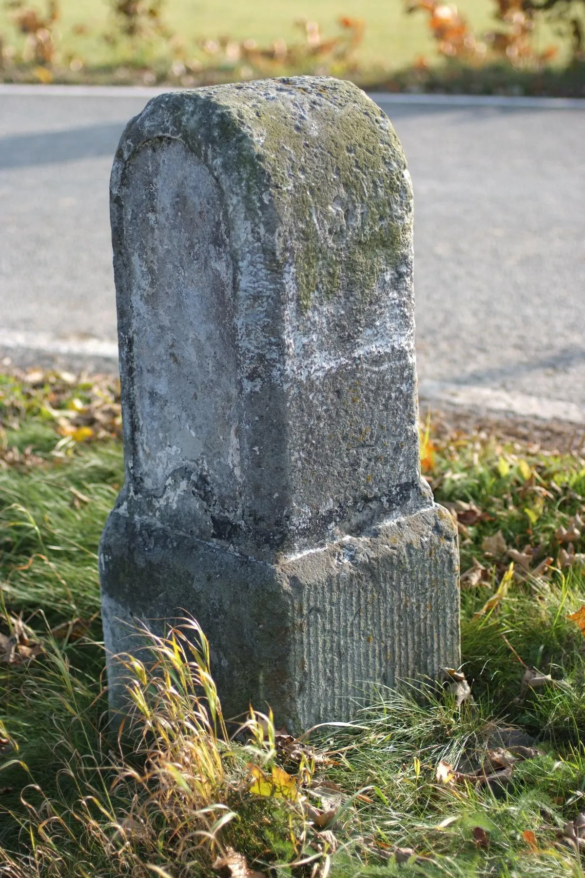 Photo showing: kgl.-sächs. Meilenstein an der B173 bei Thoßfell