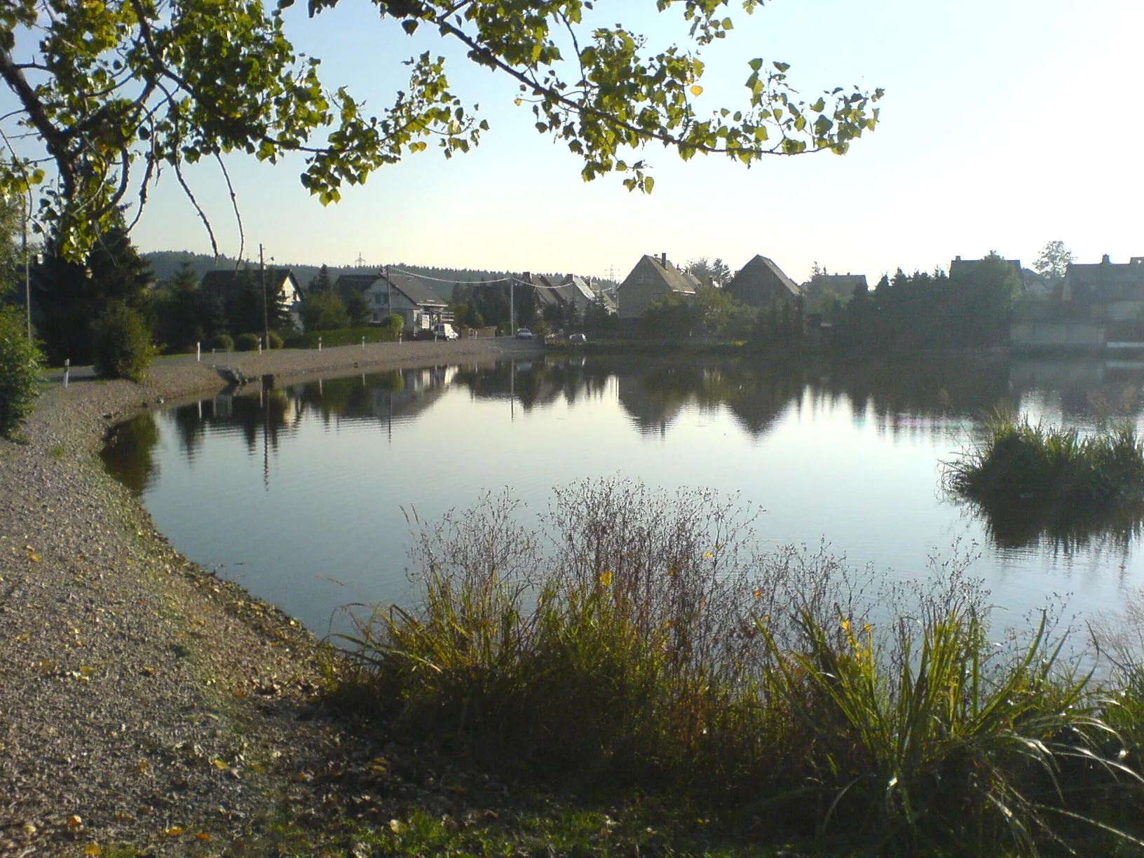 Photo showing: Mühlteich in Neuwiese