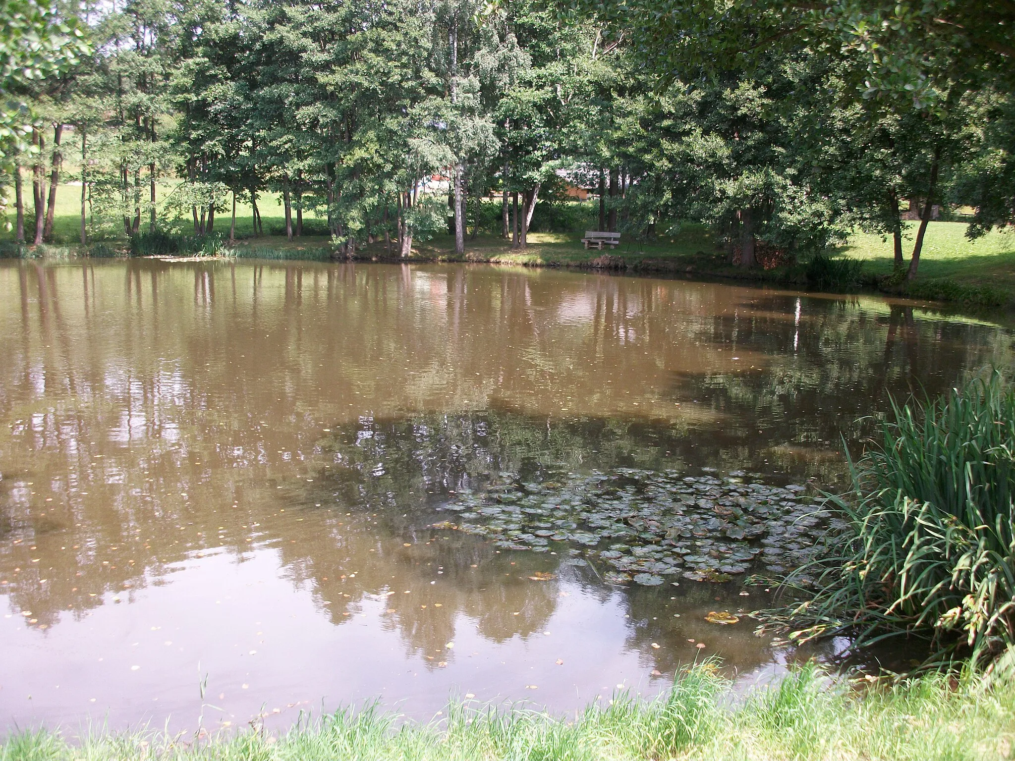 Photo showing: Teich in Brotenfeld