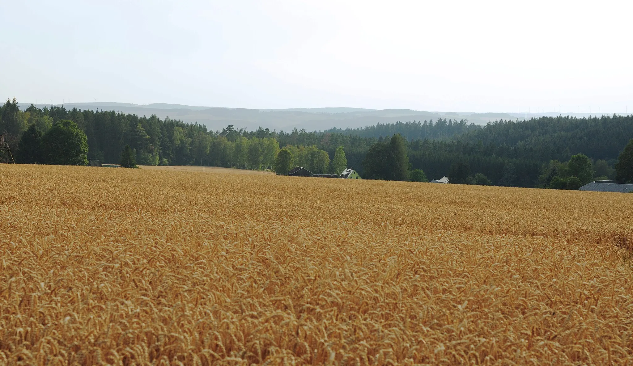 Photo showing: municipality Tirpersdorf: Landscape near the rural district Brotenfeld, view to west (district Vogtlandkreis, Free State of Saxony, Germany)