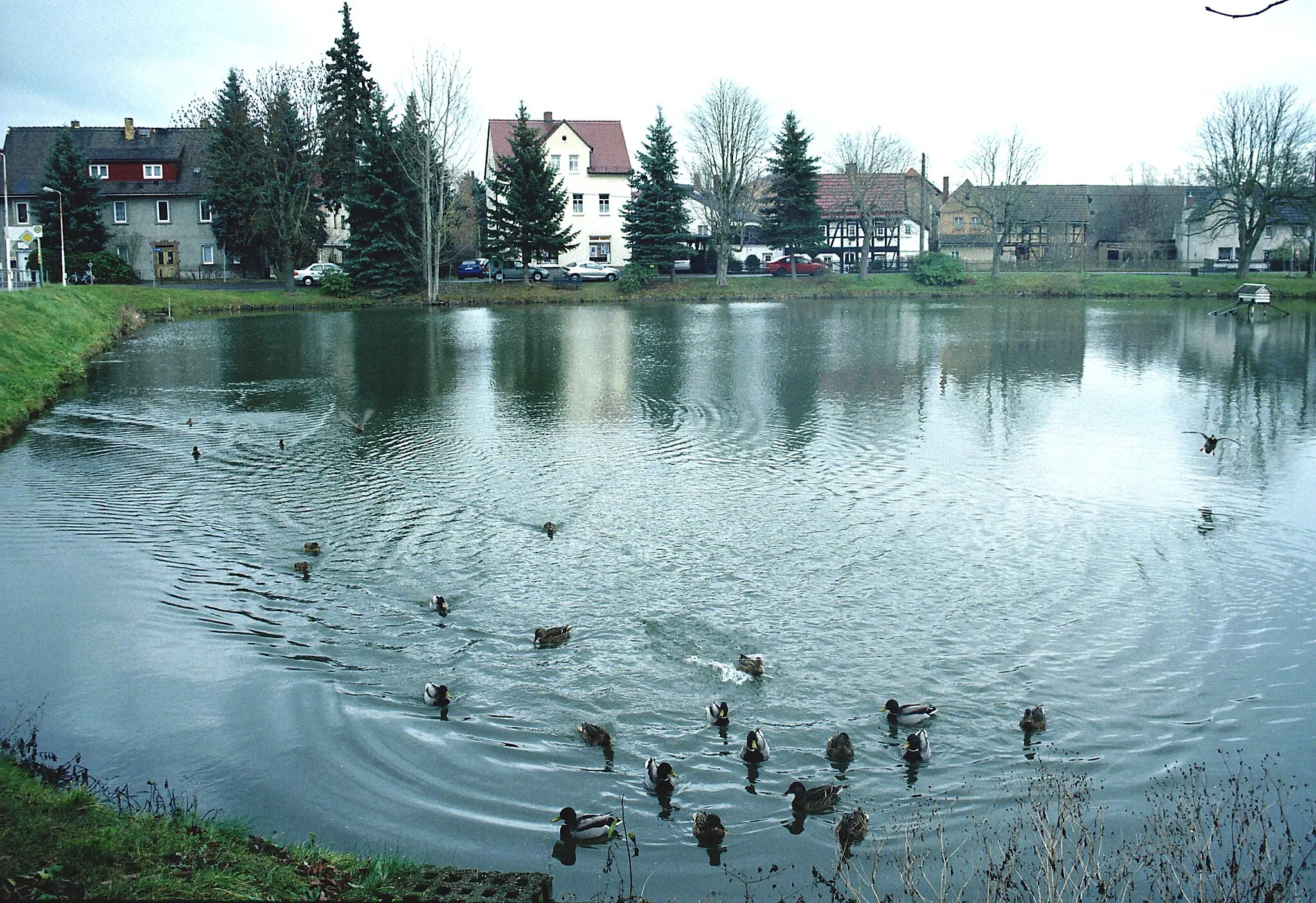 Photo showing: Langenleuba-Niederhain, the pond