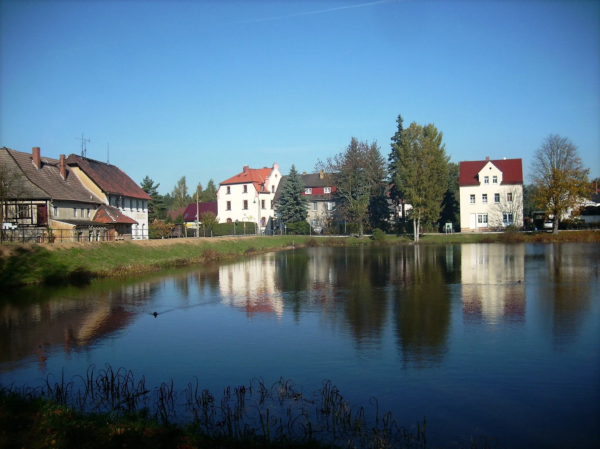 Photo showing: Pond in Langenleuba-Niederhain (district of Altenburger Land, Thuringia)