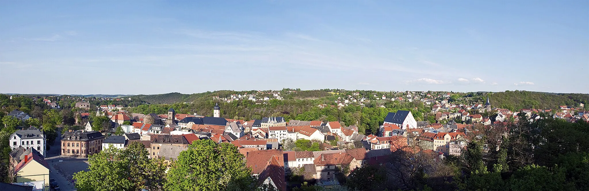 Photo showing: Blick über Weida mit Peterskirche, Rathaus, St. Marienkirche und Widenkirche