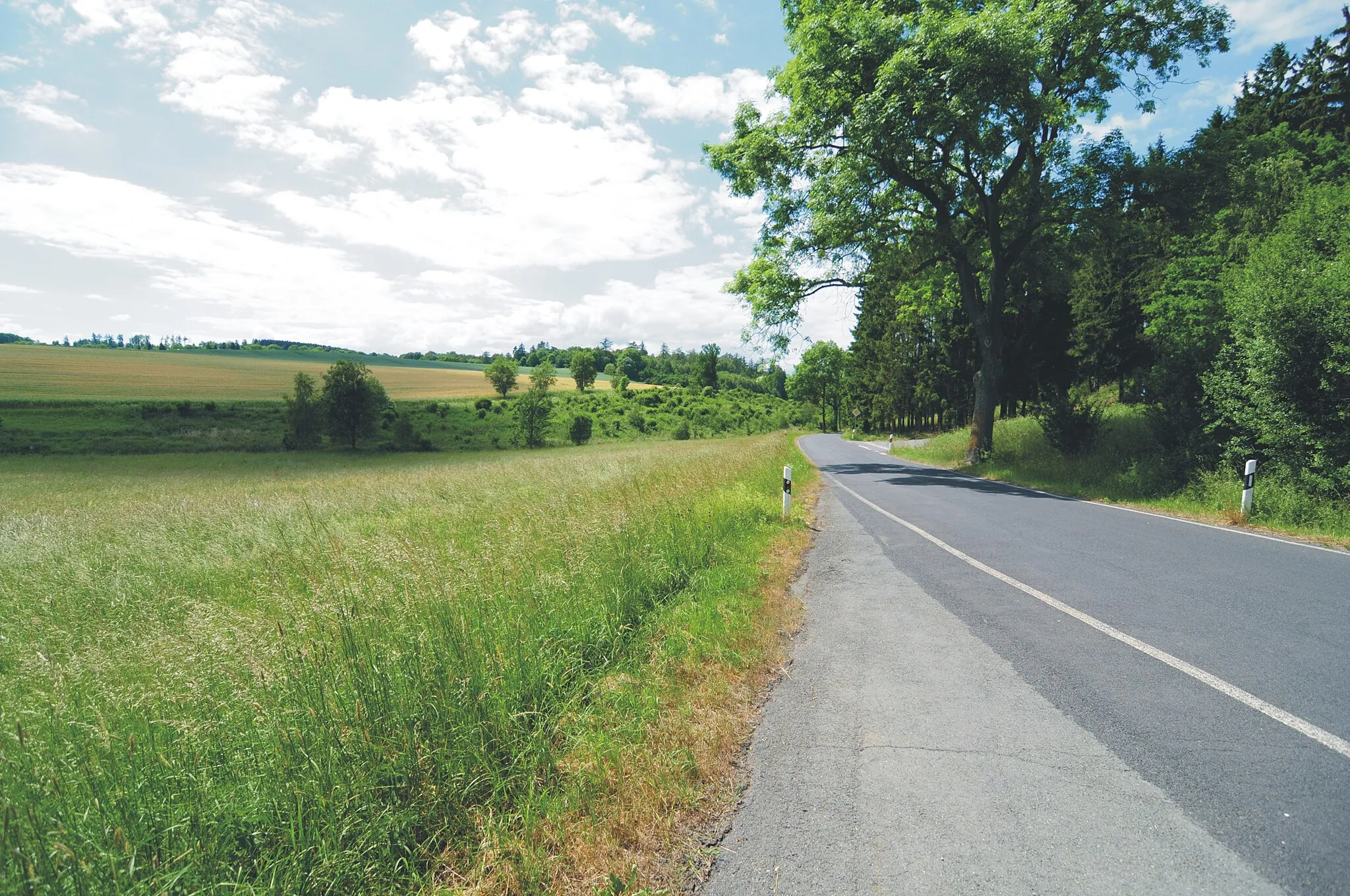 Photo showing: Feilebachtal an der Strasse zwischen Wiedersberg und Loddenreuth, Gemeinde Triebel / Vogtland (Deutschland, Sachsen)