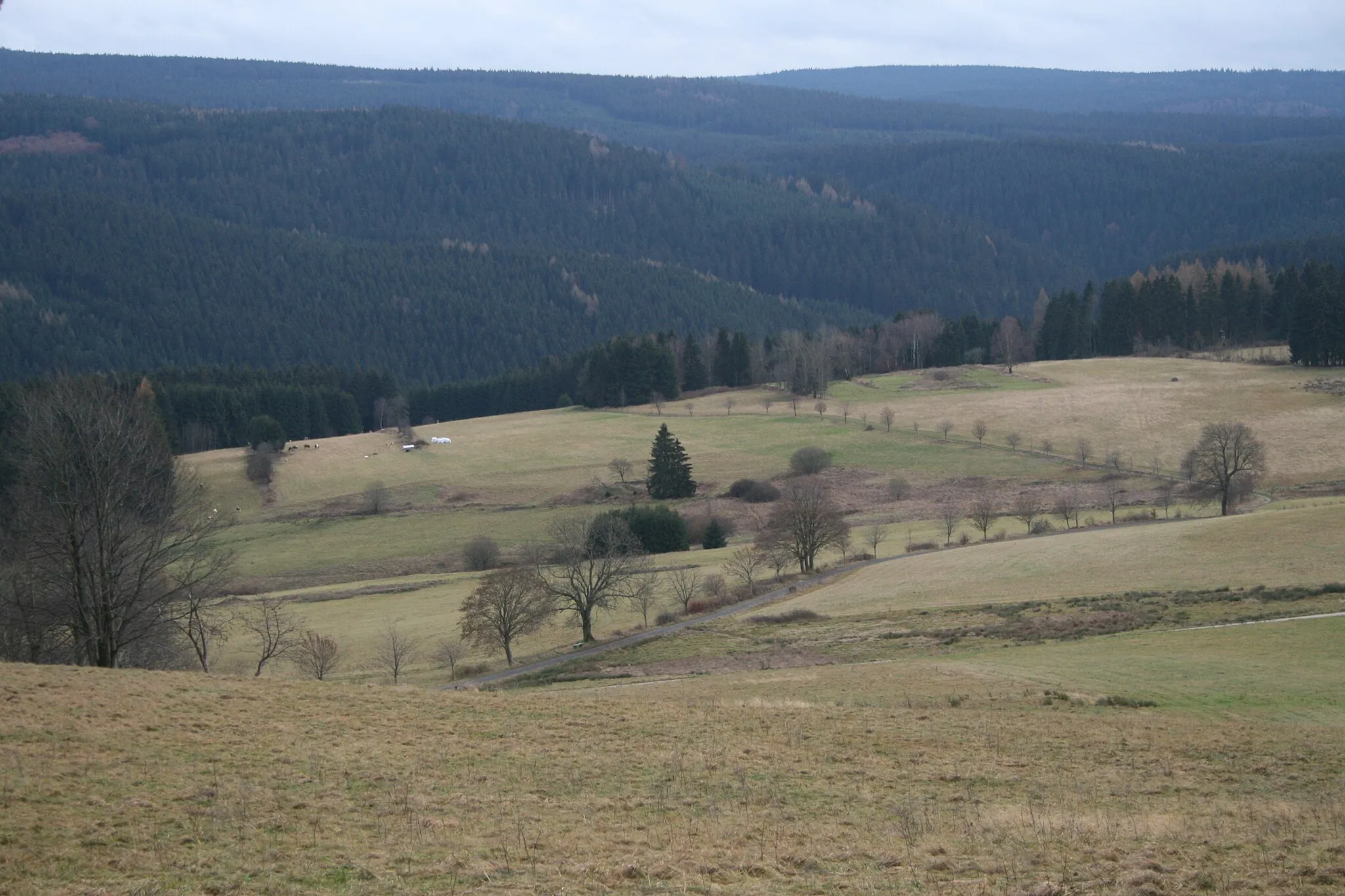 Photo showing: Blick vom Knock nach Süden: Die herbstlichen Bergwiesen prägen das Bild. Hinter dem Tal, in dem die Zwickauer Mulde fließt, der Wald - bis zum Erzgebirgskamm an der tschechischen Grenze.