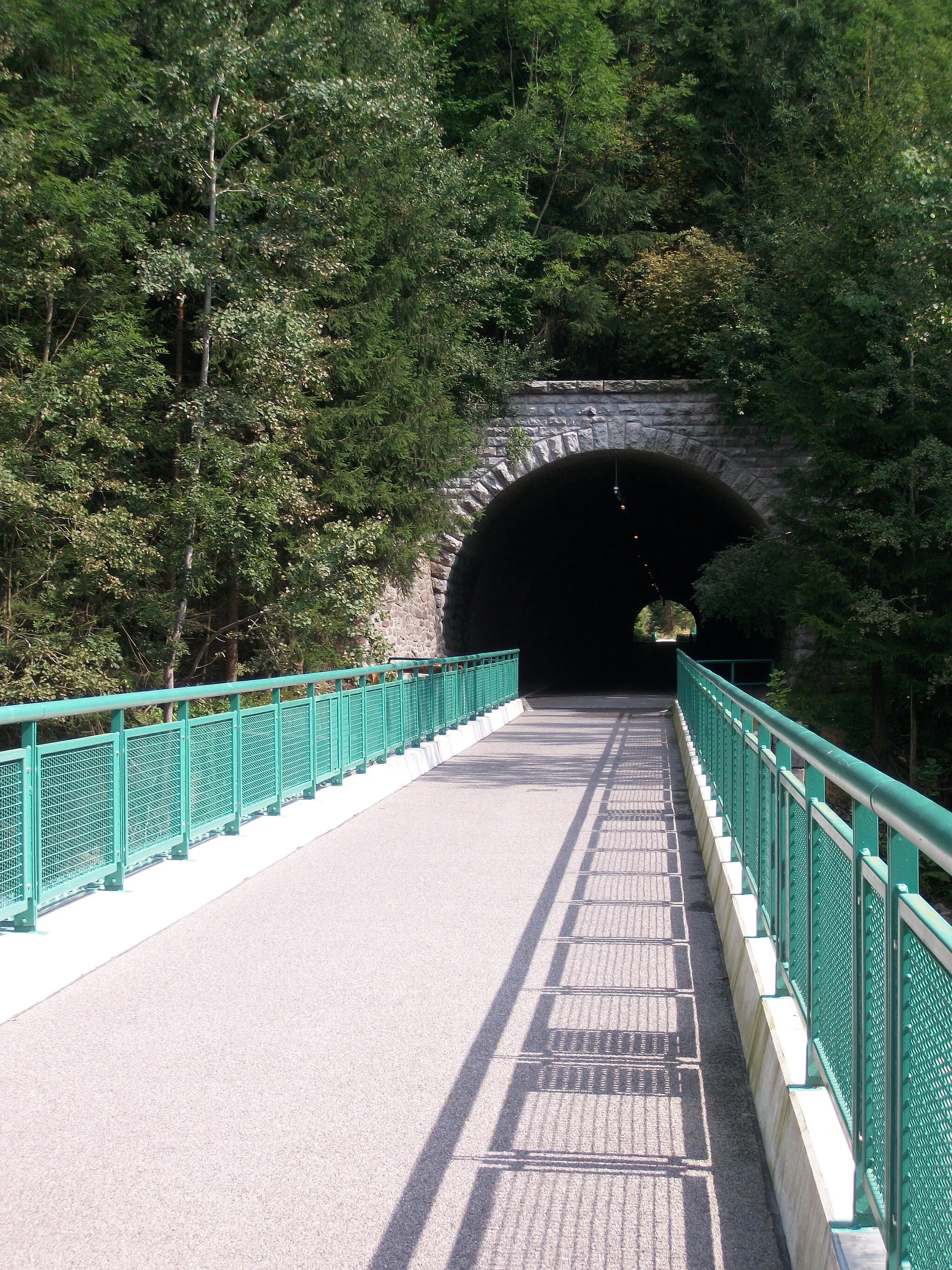 Photo showing: Bockauer Tunnel mit Mulderadweg (2013)