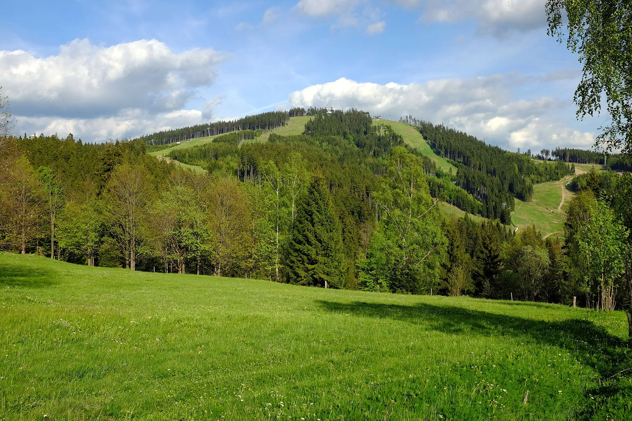 Photo showing: Plešivec (1028 m), Krušné hory, pohled od Abertam, okres Karlovy Vary